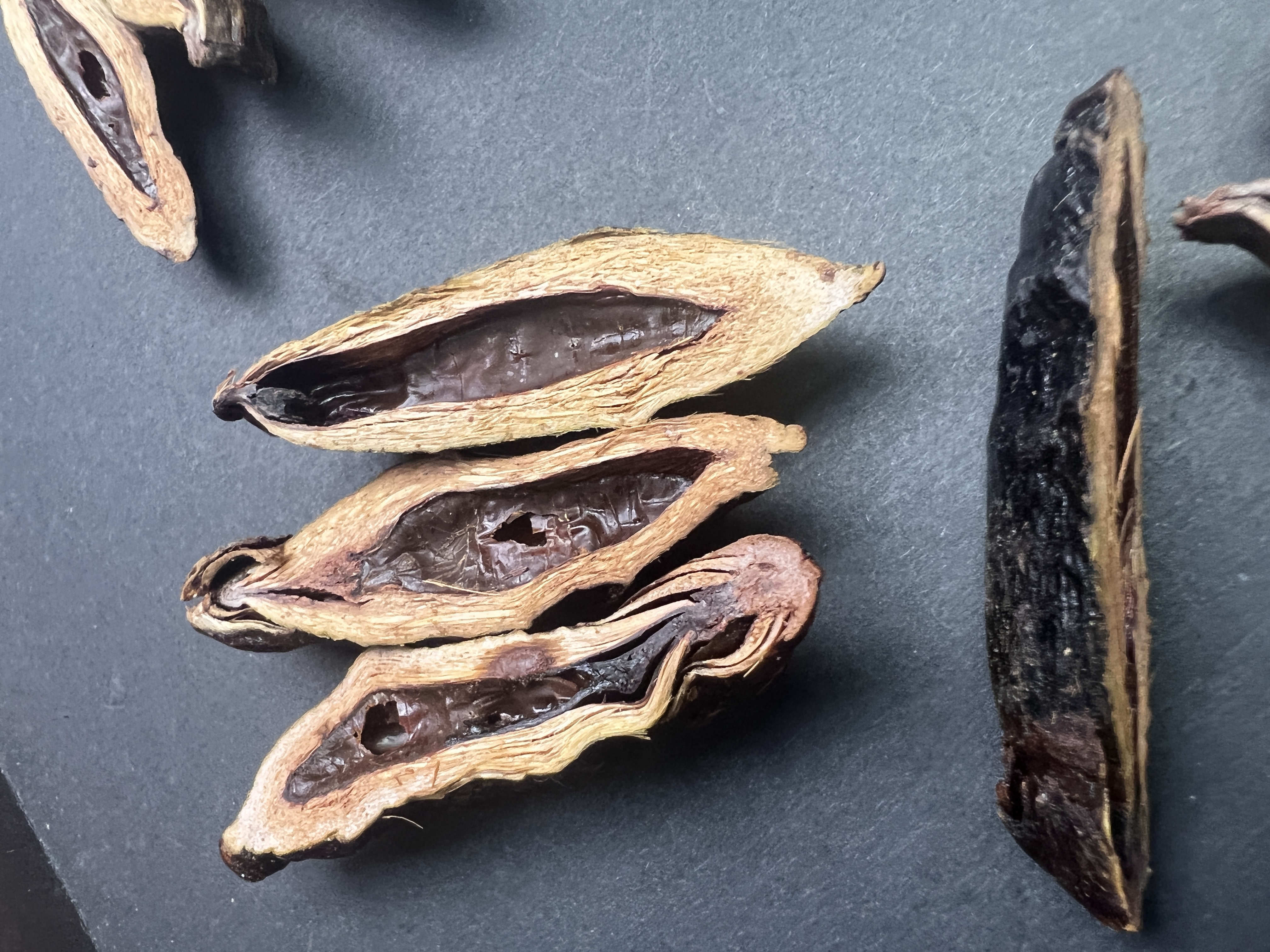 五年心血倾注的槟榔生产厂,正面临前所未有的困境,或将走向终结