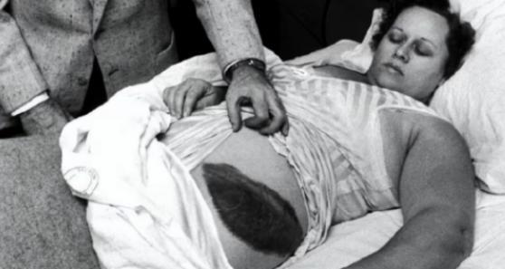 1954年秋天,美国小镇锡利马纳还保持着它一贯的宁静与平和