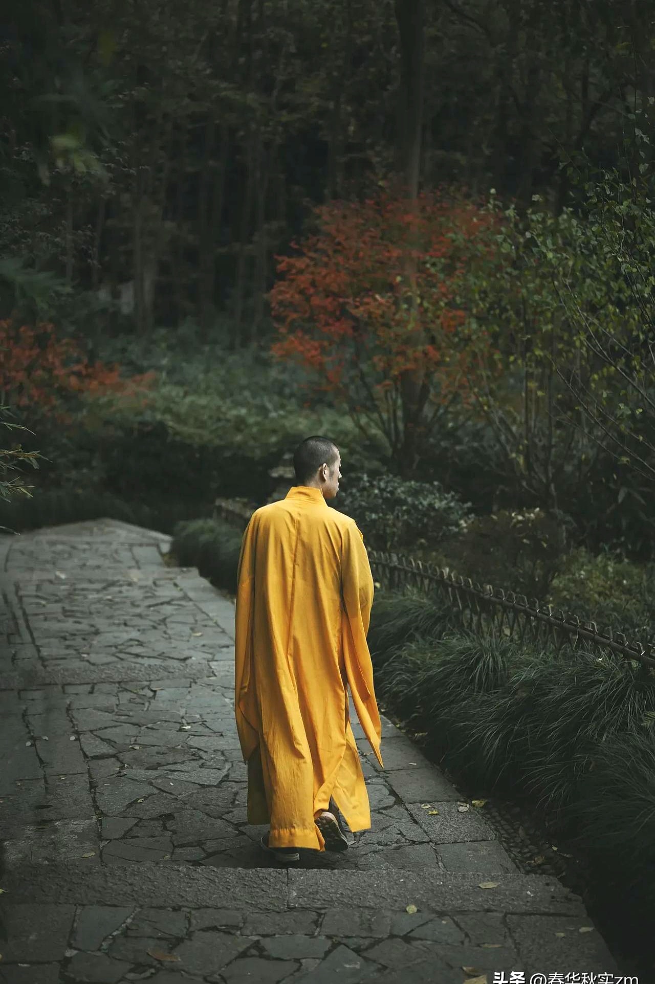 五台山扔米的和尚还能活下去吗?