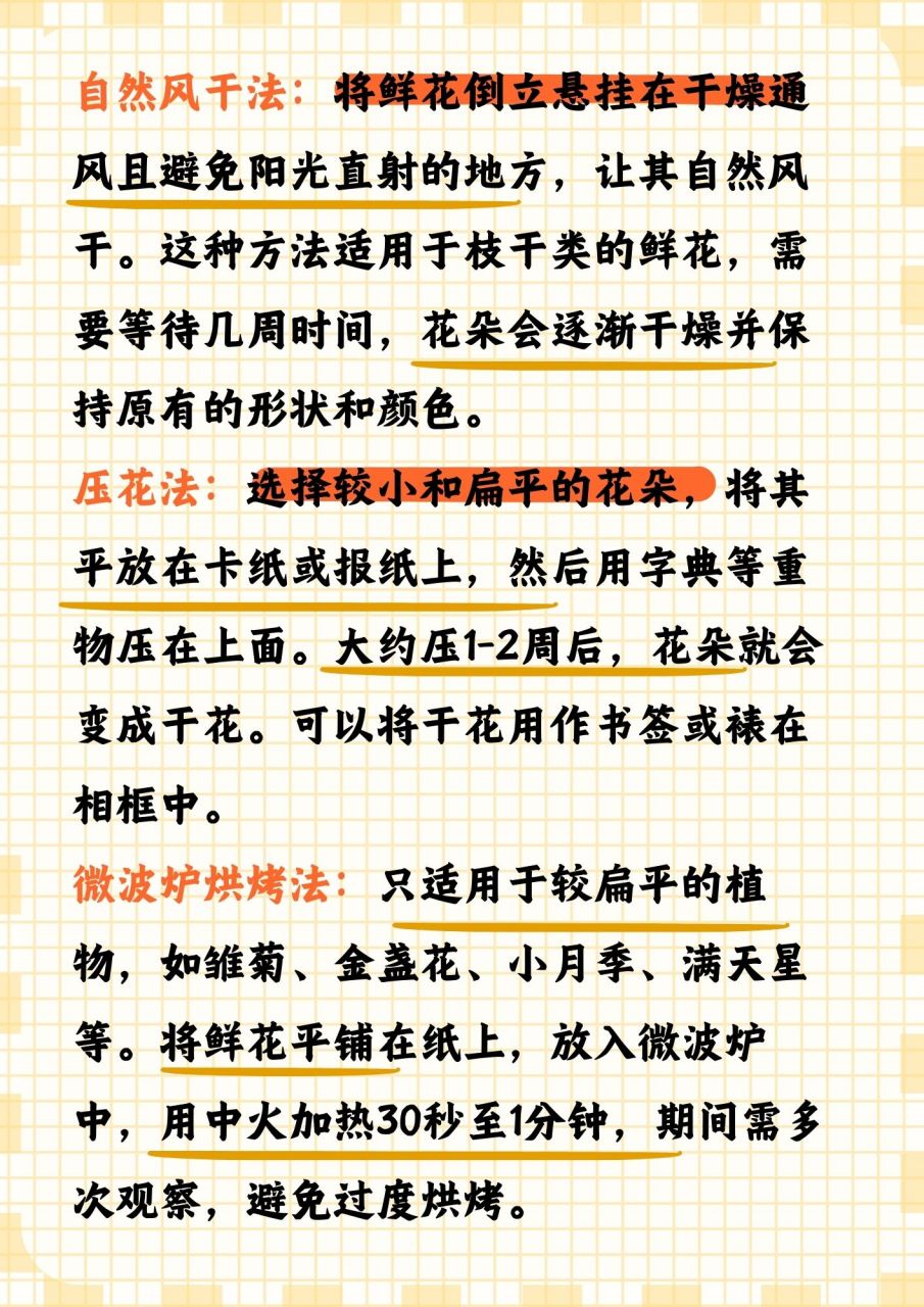 干花制作方法 一直以来,我都对干花情有独钟,它们不仅能留住鲜花的