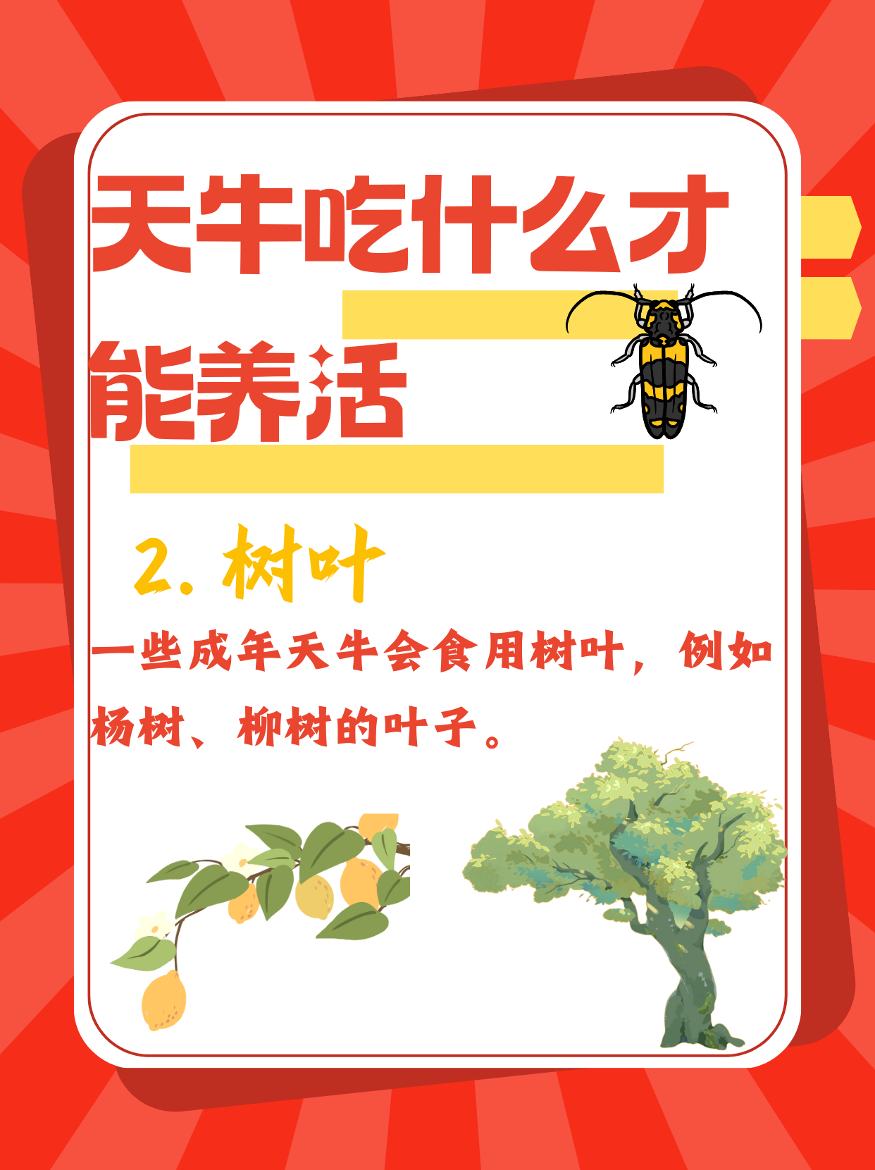 树木枝干:天牛幼虫通常蛀食树木的枝干,比如杨树,柳树,桑树,槐树