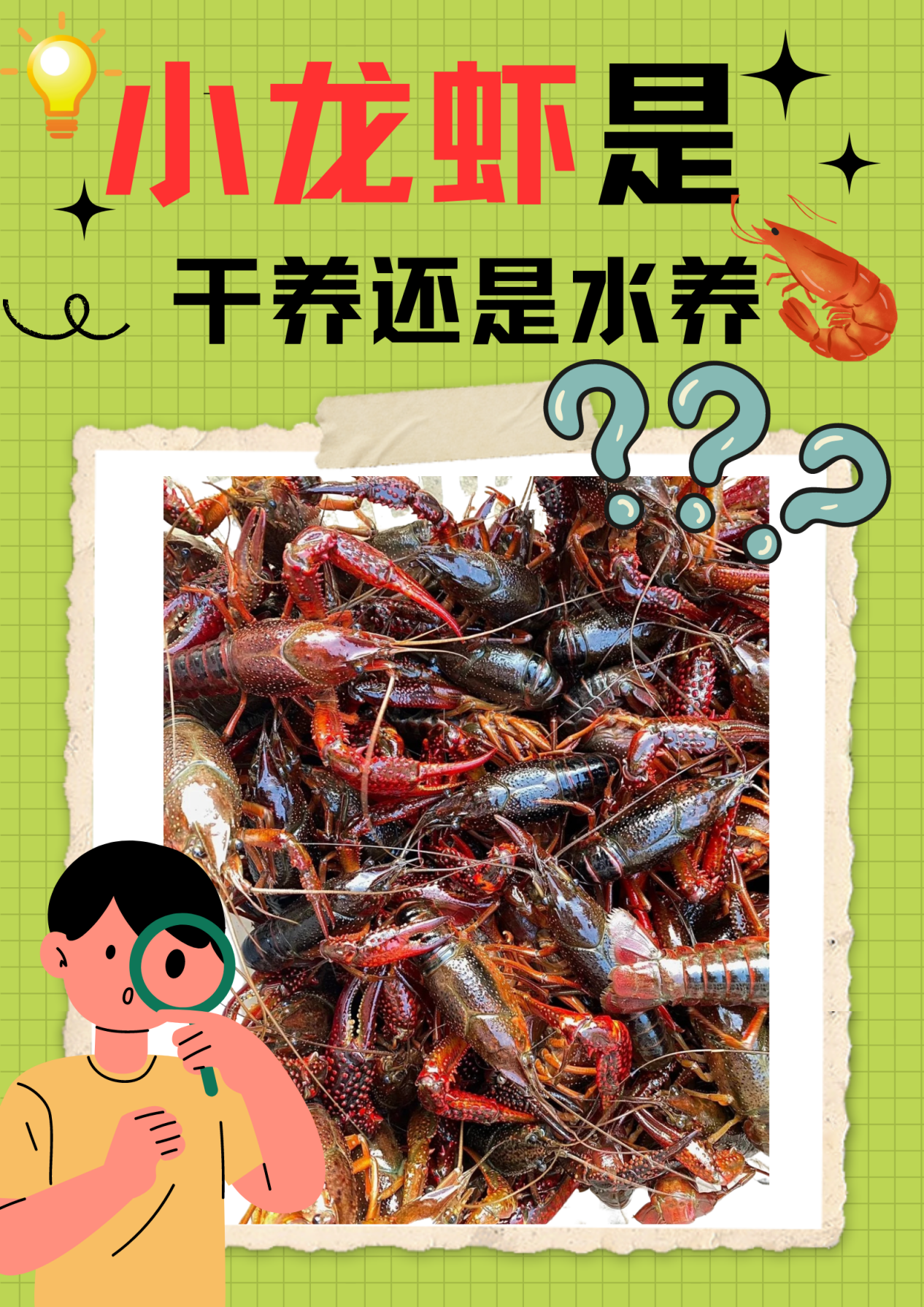 农村养殖小龙虾需要些什么条件呢(农村养殖小龙虾需要些什么条件呢图片)