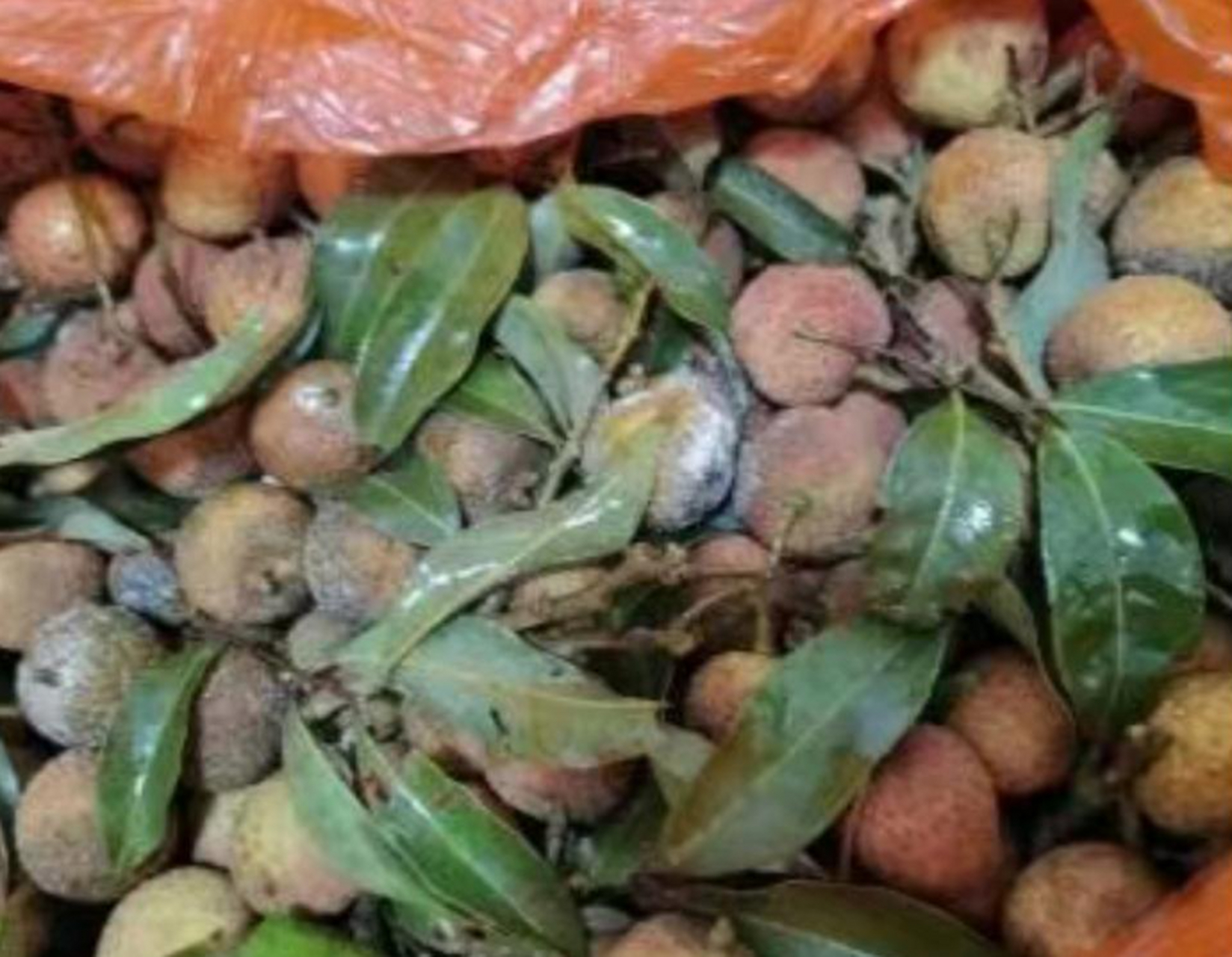 朋友寄过来的荔枝都坏了,该找谁去赔偿呢?