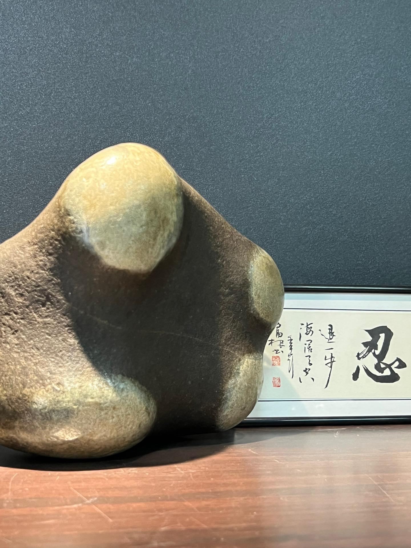 它的纹理犹如古老的图腾充满神秘的气息