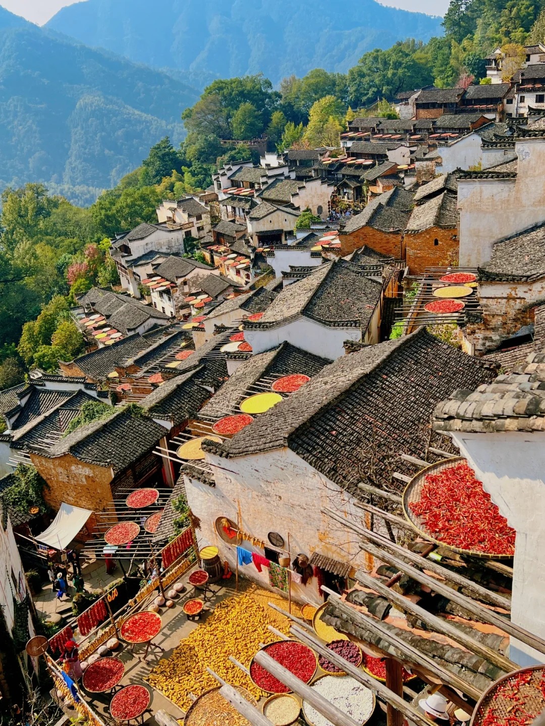 前几天的国庆假期和家人去了江西省上饶市婺源县的篁岭景区,这个被