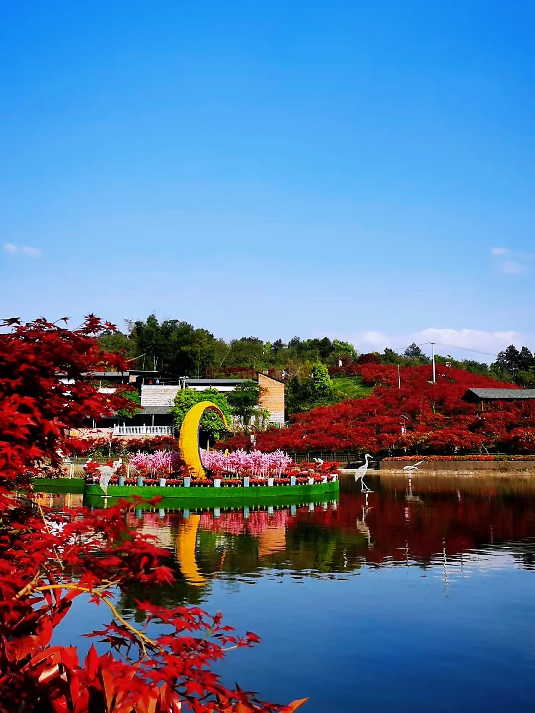 巴南·南湖多彩植物园的这片红南湖多彩植物园位于巴南区南彭街道