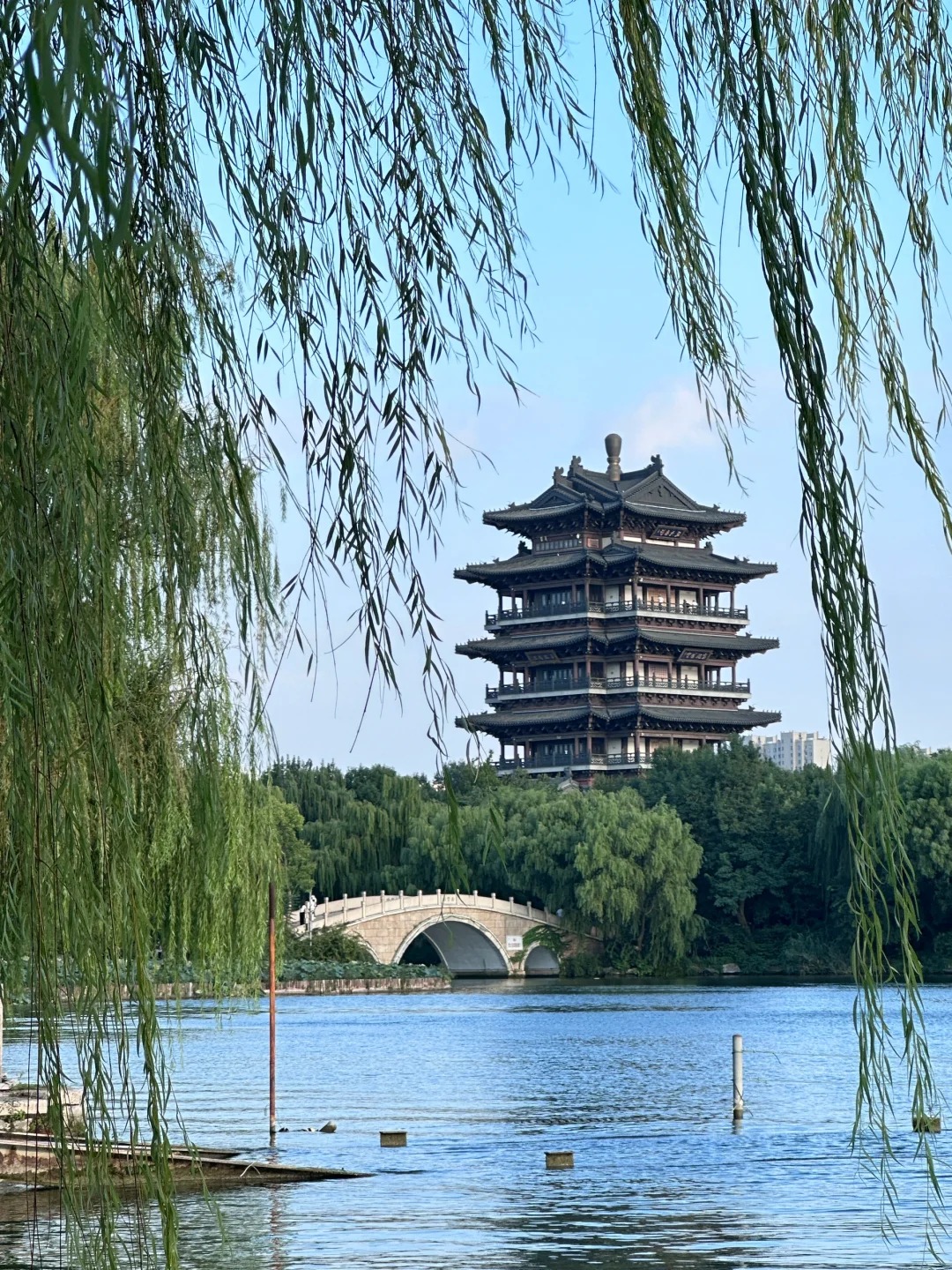 湖光山色美如画,一进济南大明湖景区,就像闯入江南水乡