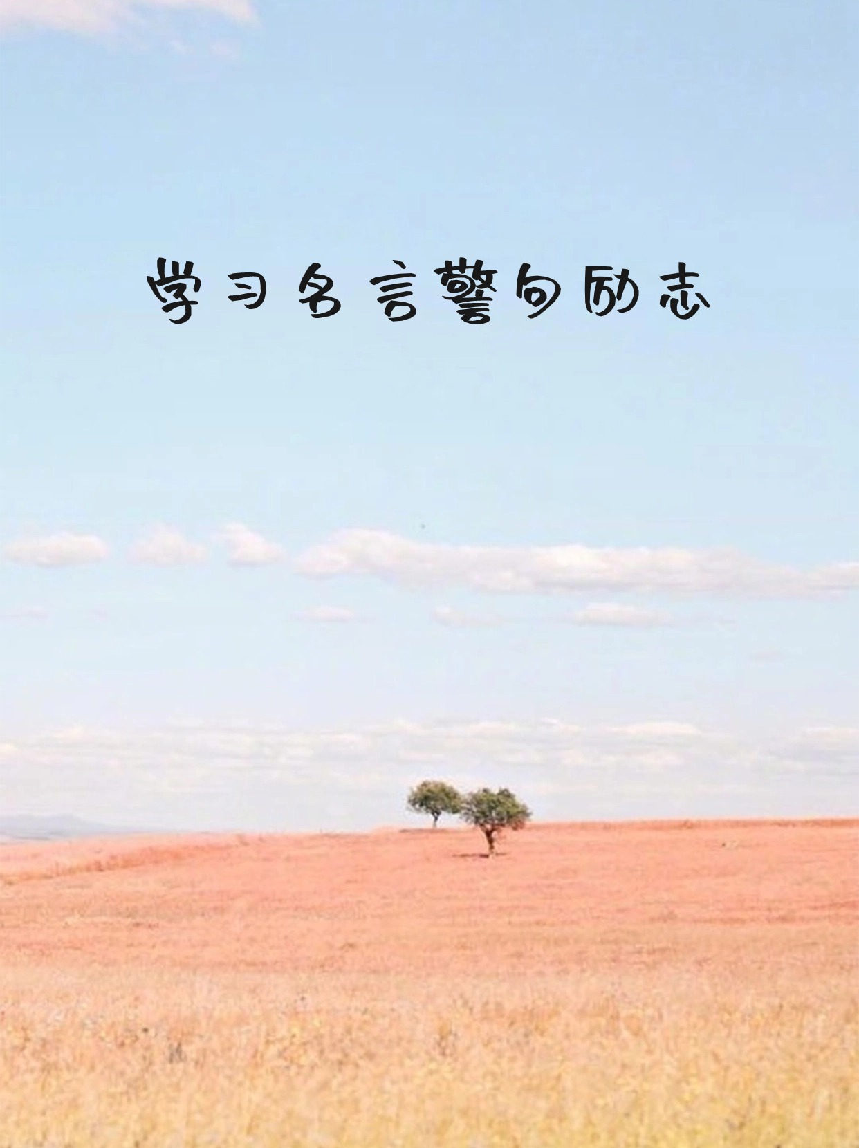 学习名言警句 励志