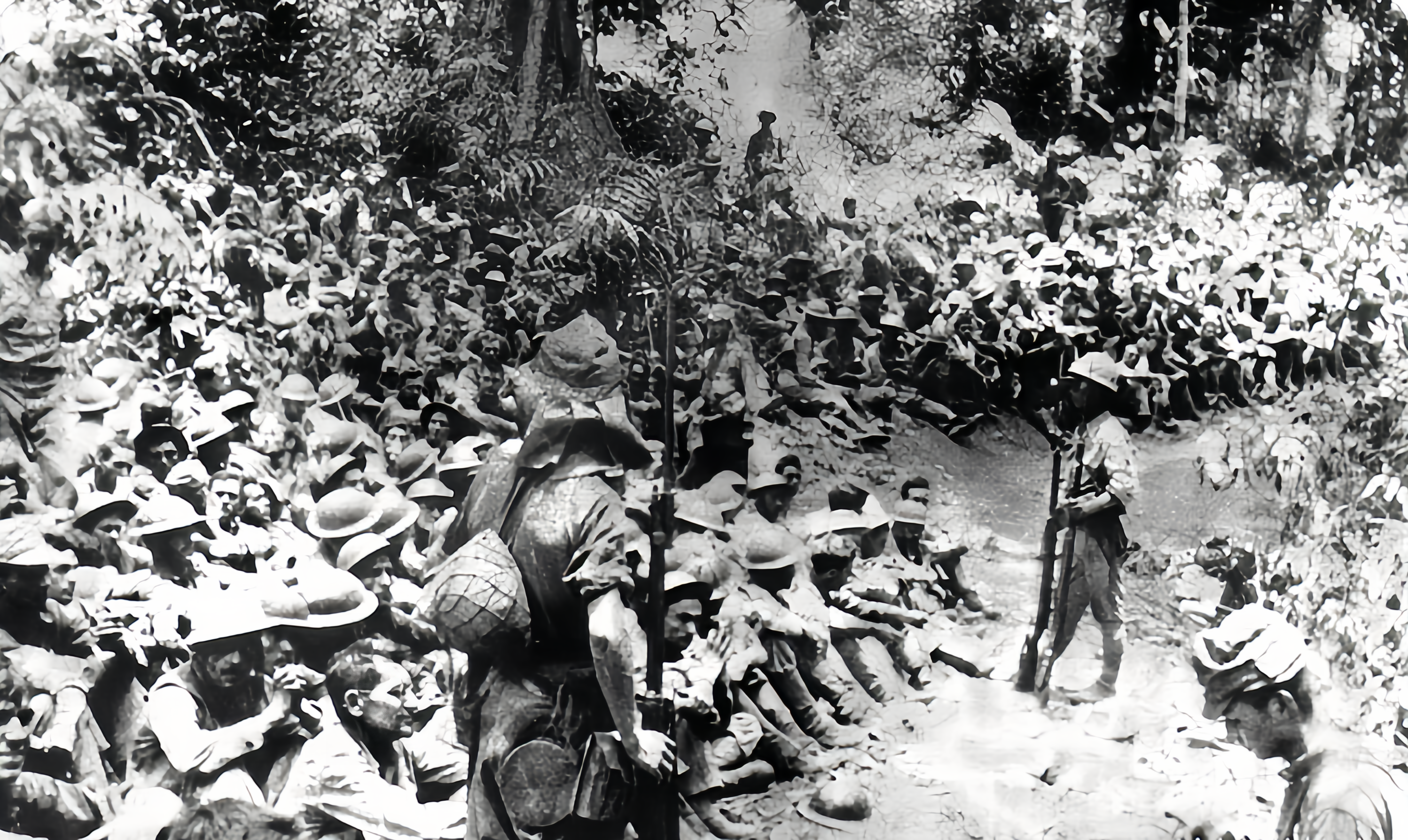 动态连更挑战# 二战中,菲律宾战场上,美菲联军投降后被日军俘虏,约7