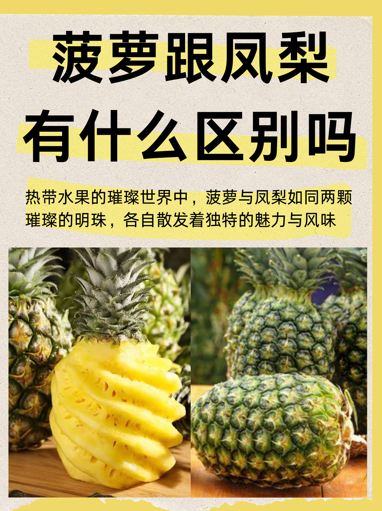菠萝跟凤梨有什么区别吗