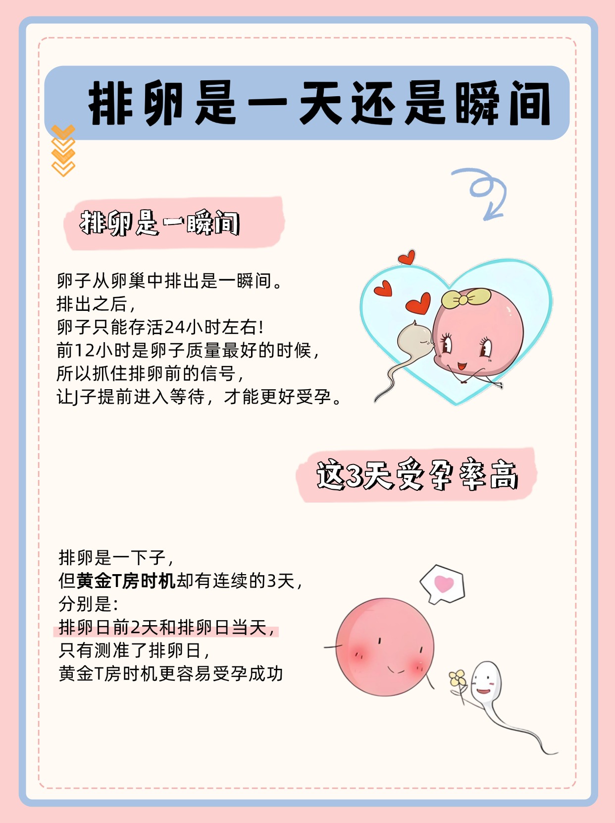 什么时候排出成熟卵子的简单介绍