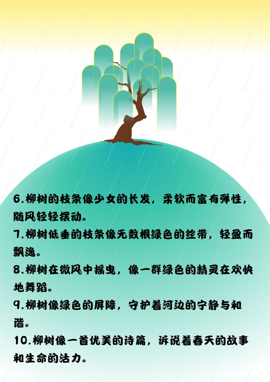 柳树的介绍图片