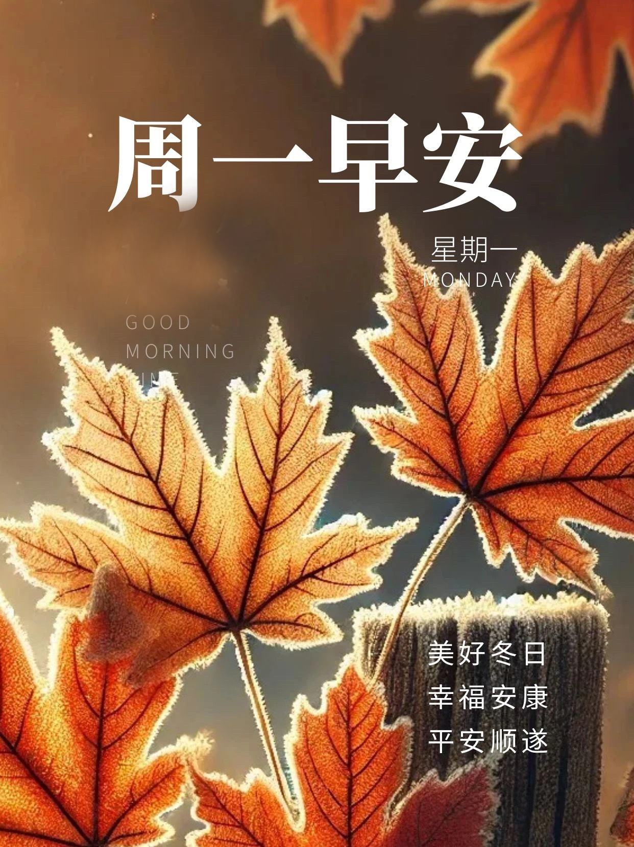 周一早安问候图片,漂亮的星期一早上祝福图片