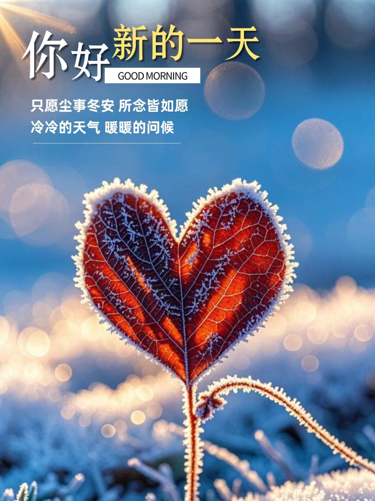 寒冬清晨,送给朋友的一段早安祝福语,吉祥如意,一切顺利