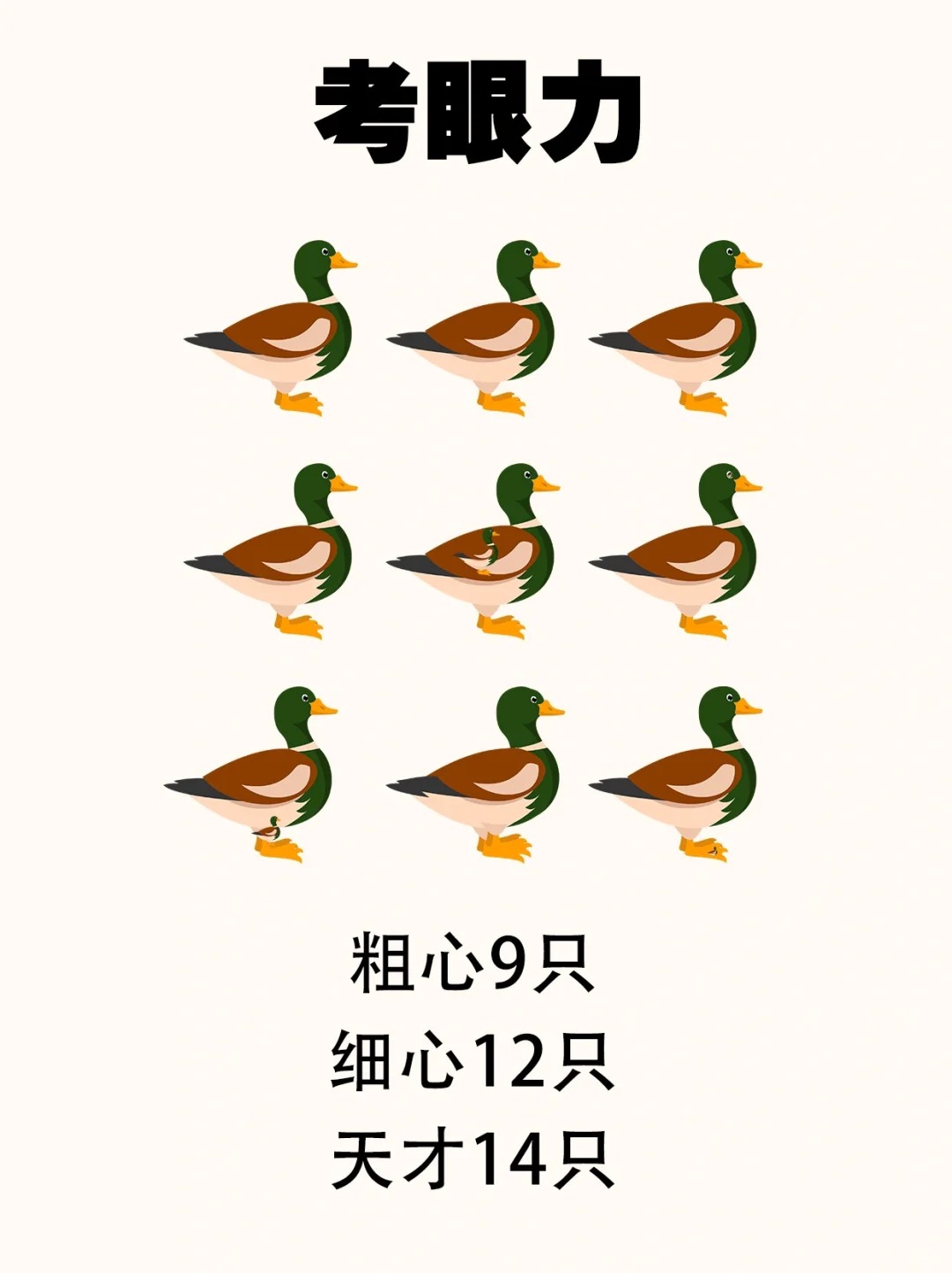 考眼力:图中到底有多少只鸭?