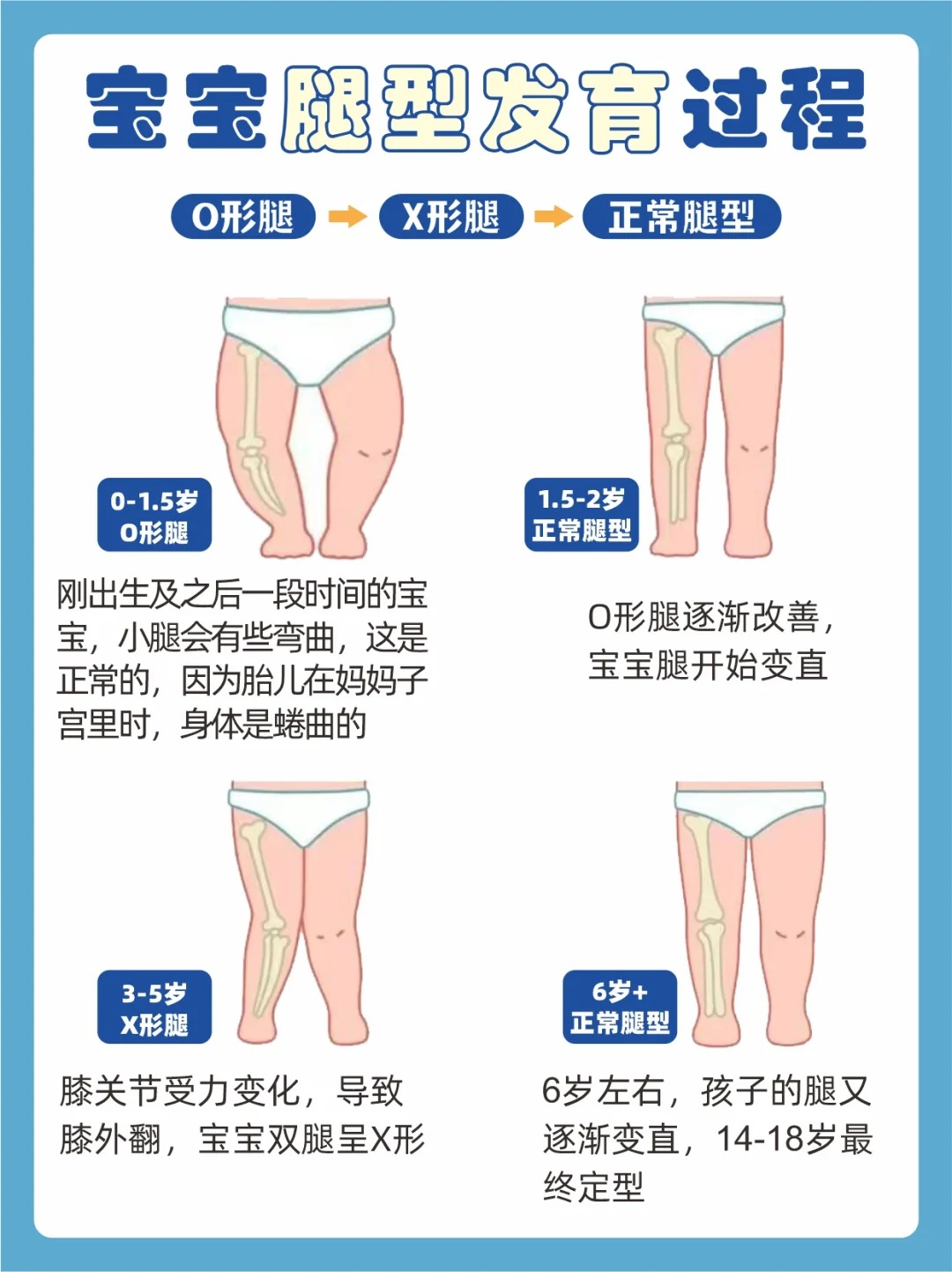 宝宝腿部发育过程图图片