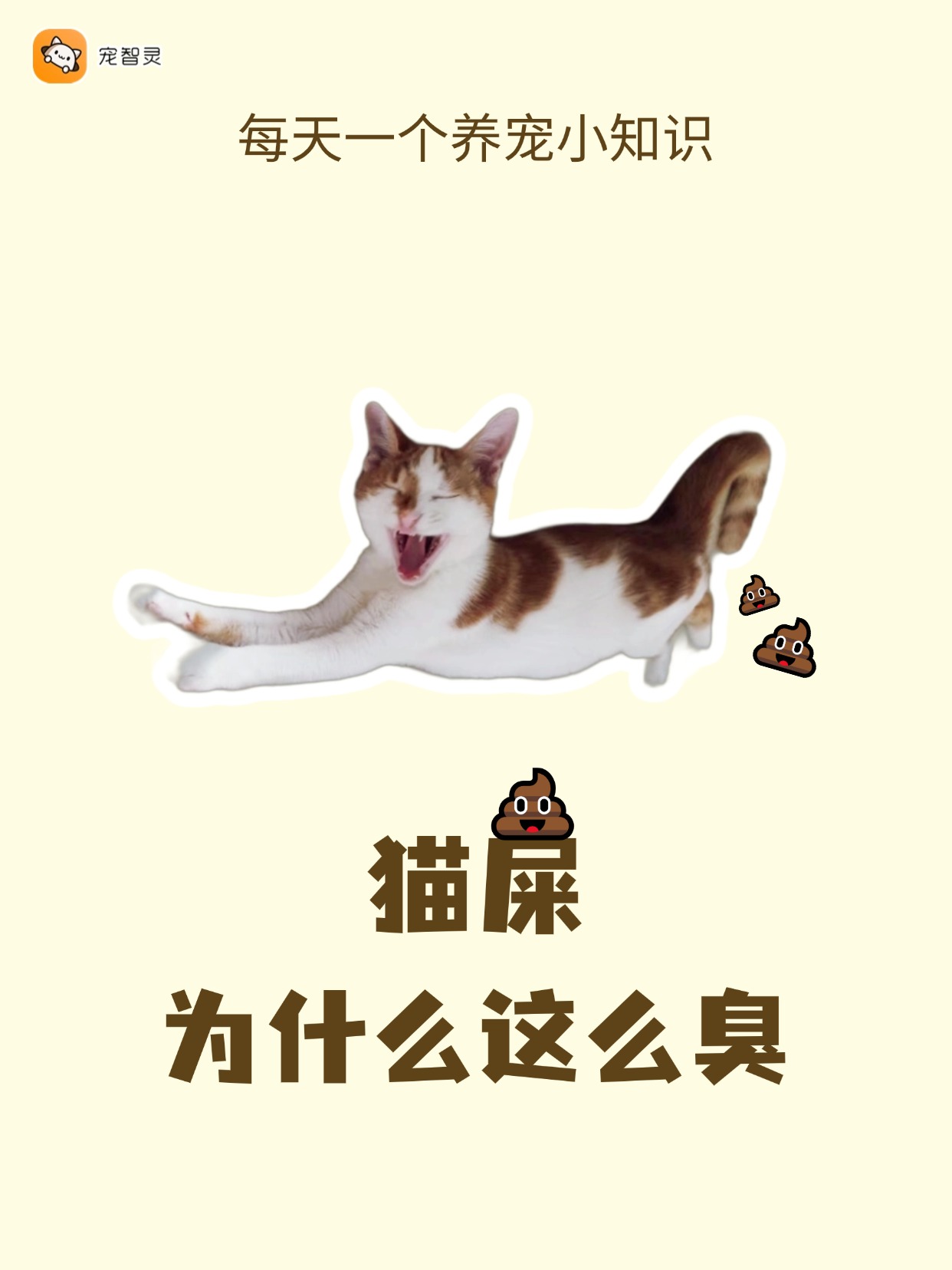 为什么大便很臭 为什么大便很臭