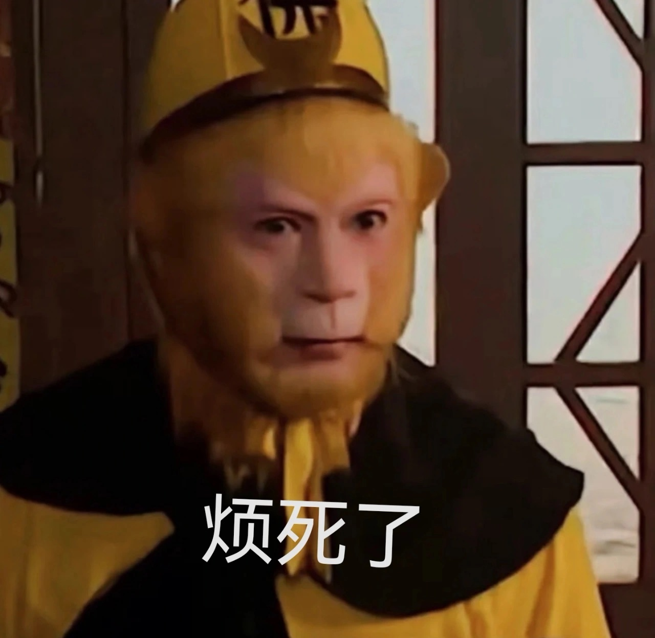 c11k秒变观影救星!