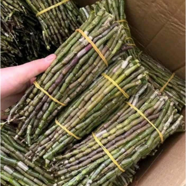 来了一大箱东西,打开之后全是一捆捆的,看上去一节一节的有点像是竹子