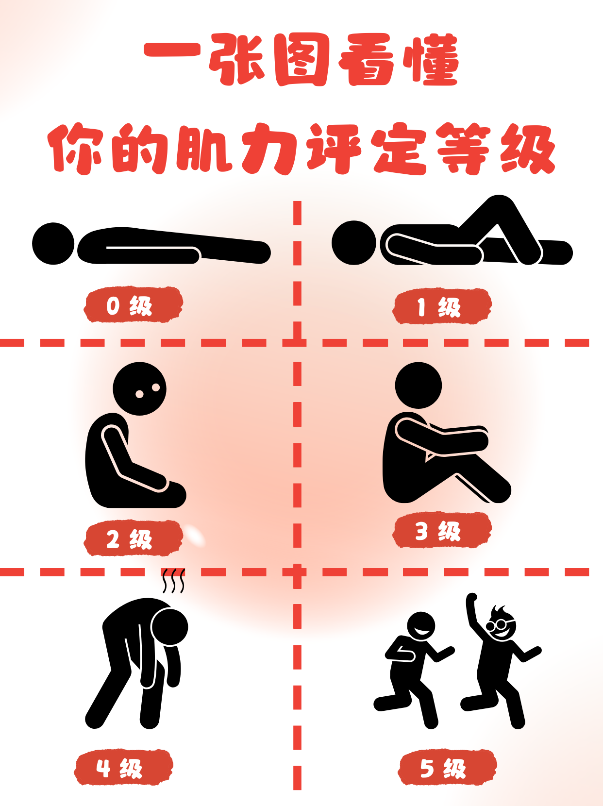 它主要通过一系列标准化的测试,来测量肌肉在主动收缩时产生的力量