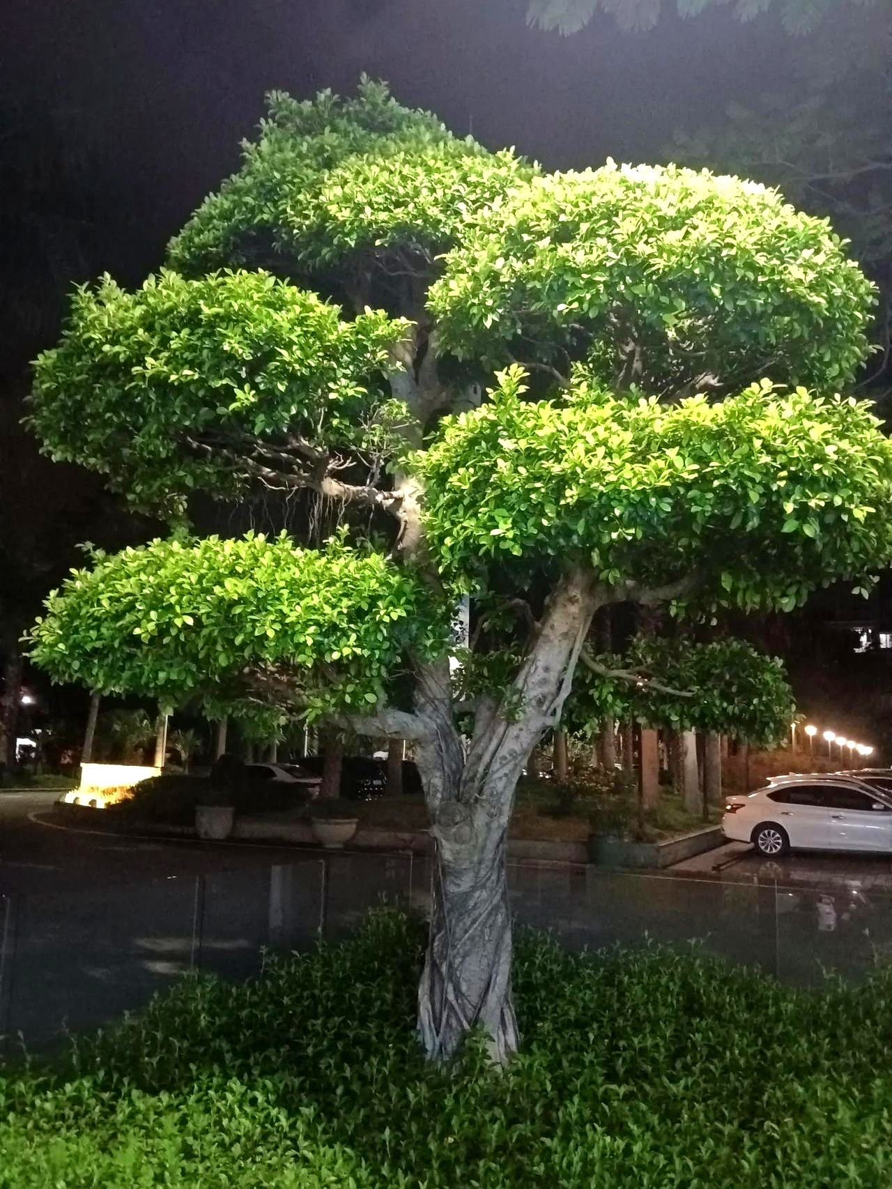 本想趁着超长假期赚点外快,补贴家用,却发现自己成