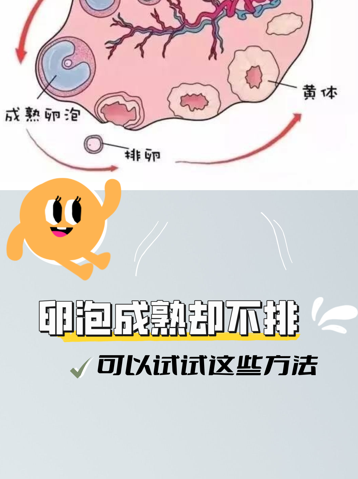 2025年8月19日 第291页