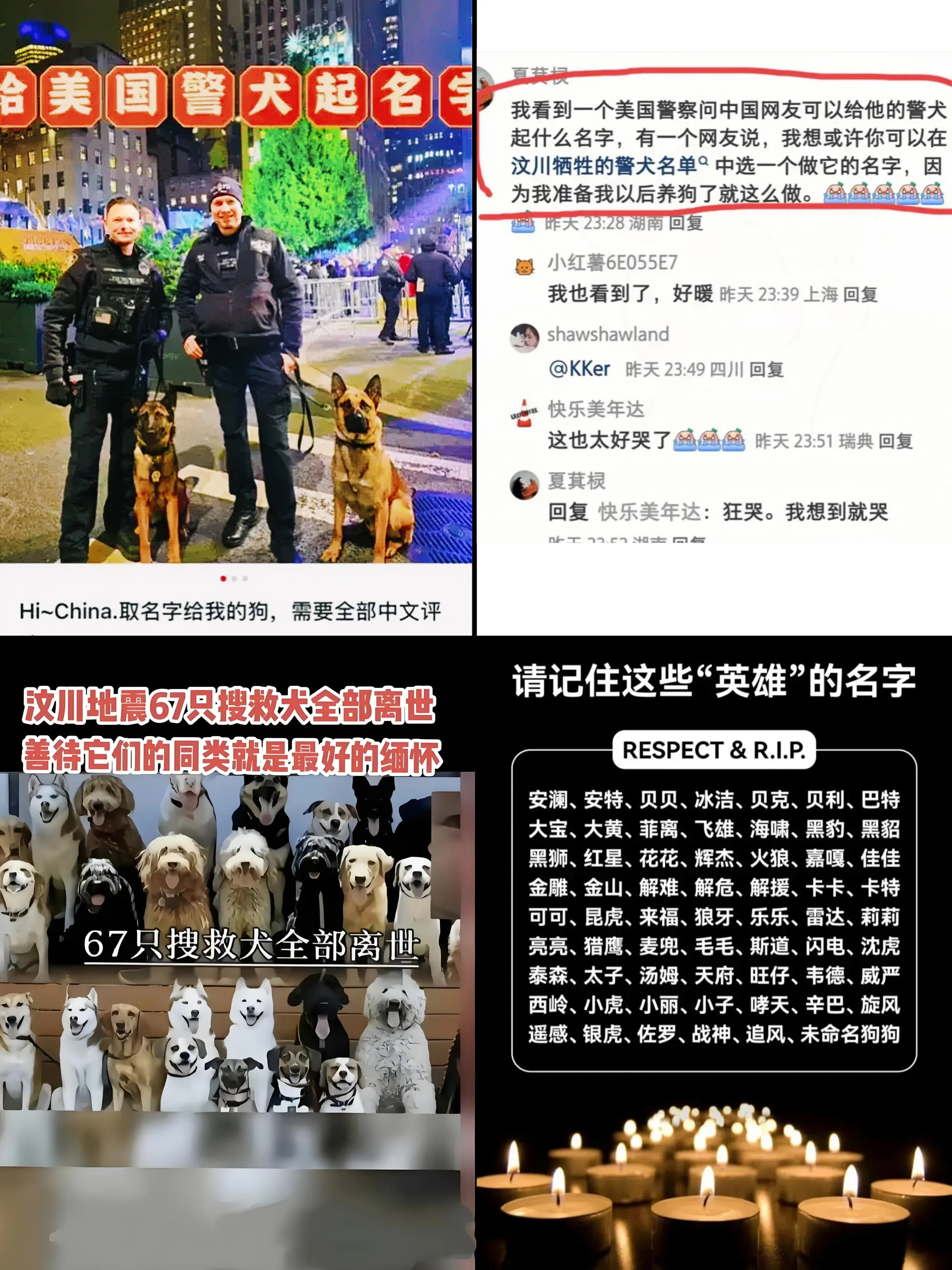 两狗分别视频播放网站_两狗分别视频播放网站在线观看