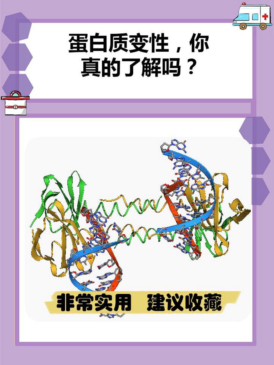 蛋白质变性,听起来是不是有点可怕?别担心,我来给你科普一下!