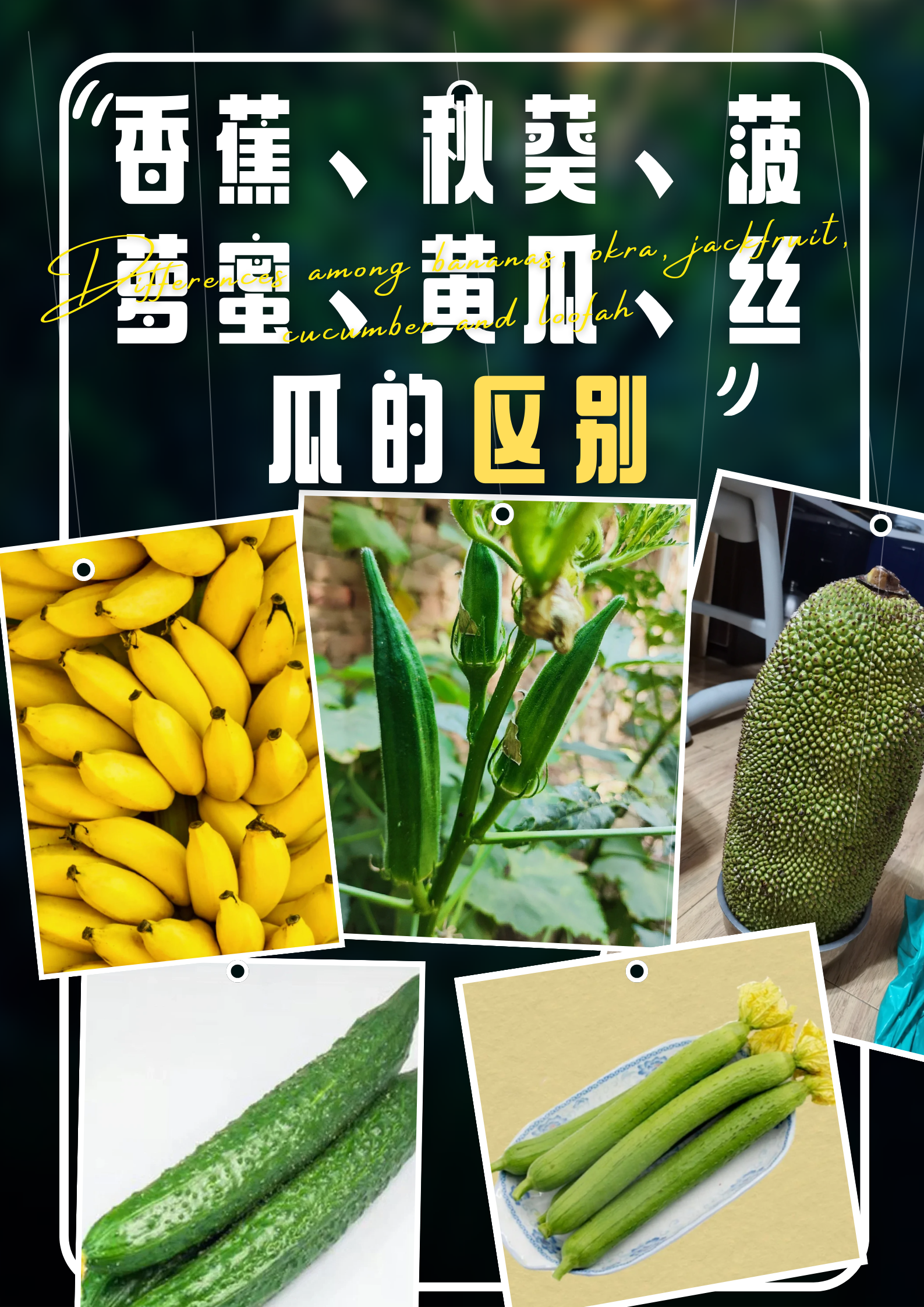 香蕉,秋葵,菠萝蜜,黄瓜,丝瓜作为咱们日常生活中常见的蔬菜水果品种