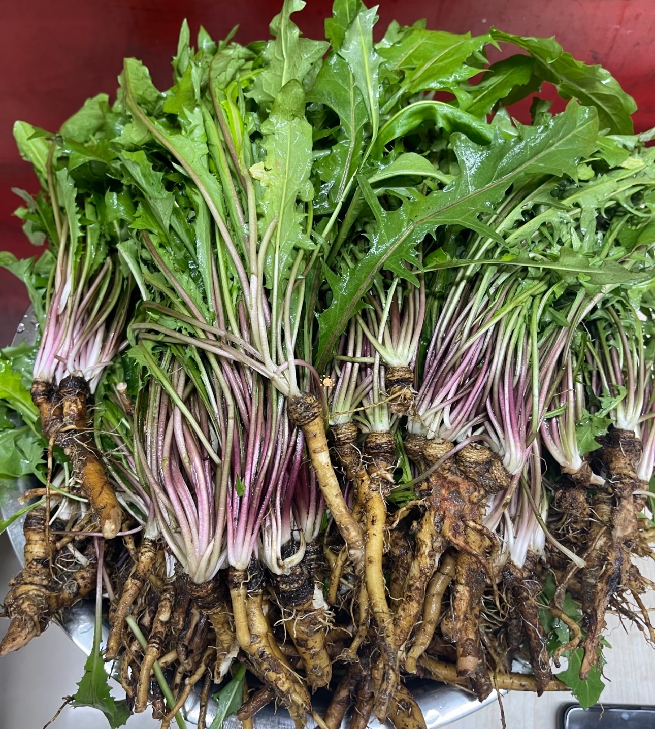 你们平时买菜有碰到过这种不?到底是啥菜啊?能吃吗?