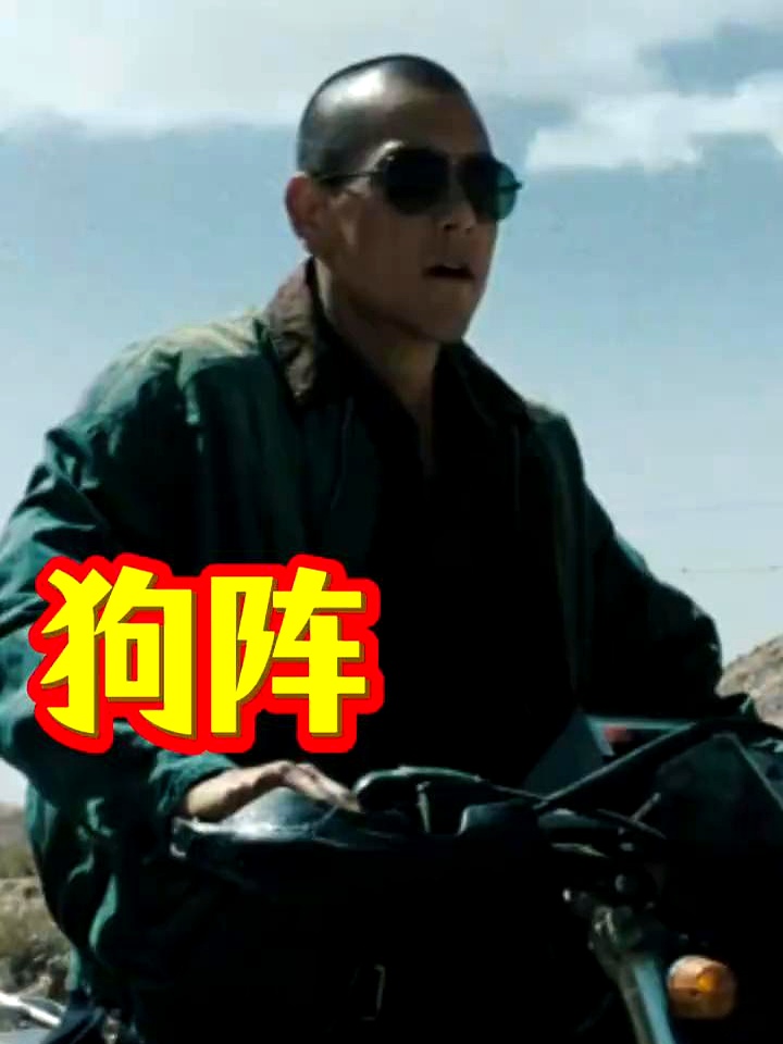 狗阵. 这狗我养!