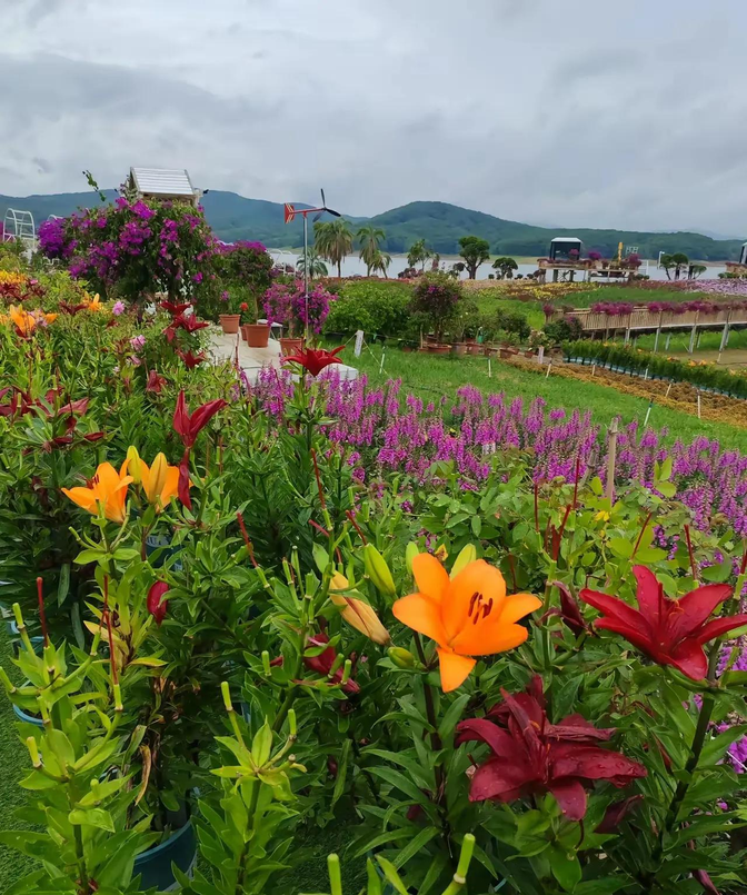 家人们大家早上好,今天是7月19日,还有5天吉林省企