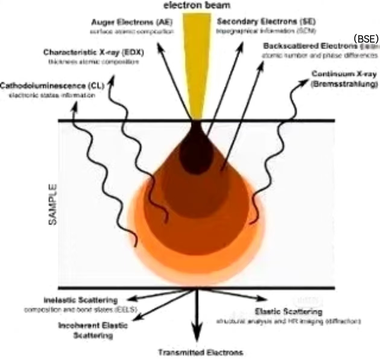 扫描电镜与透射电镜，扫描电镜与透射电镜在仪器构造,成像机理