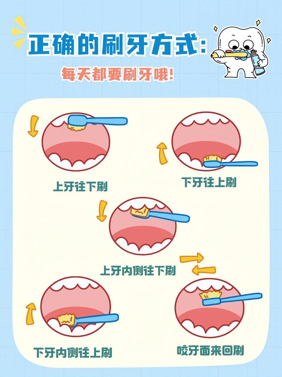 牙齿作用卡通图图片