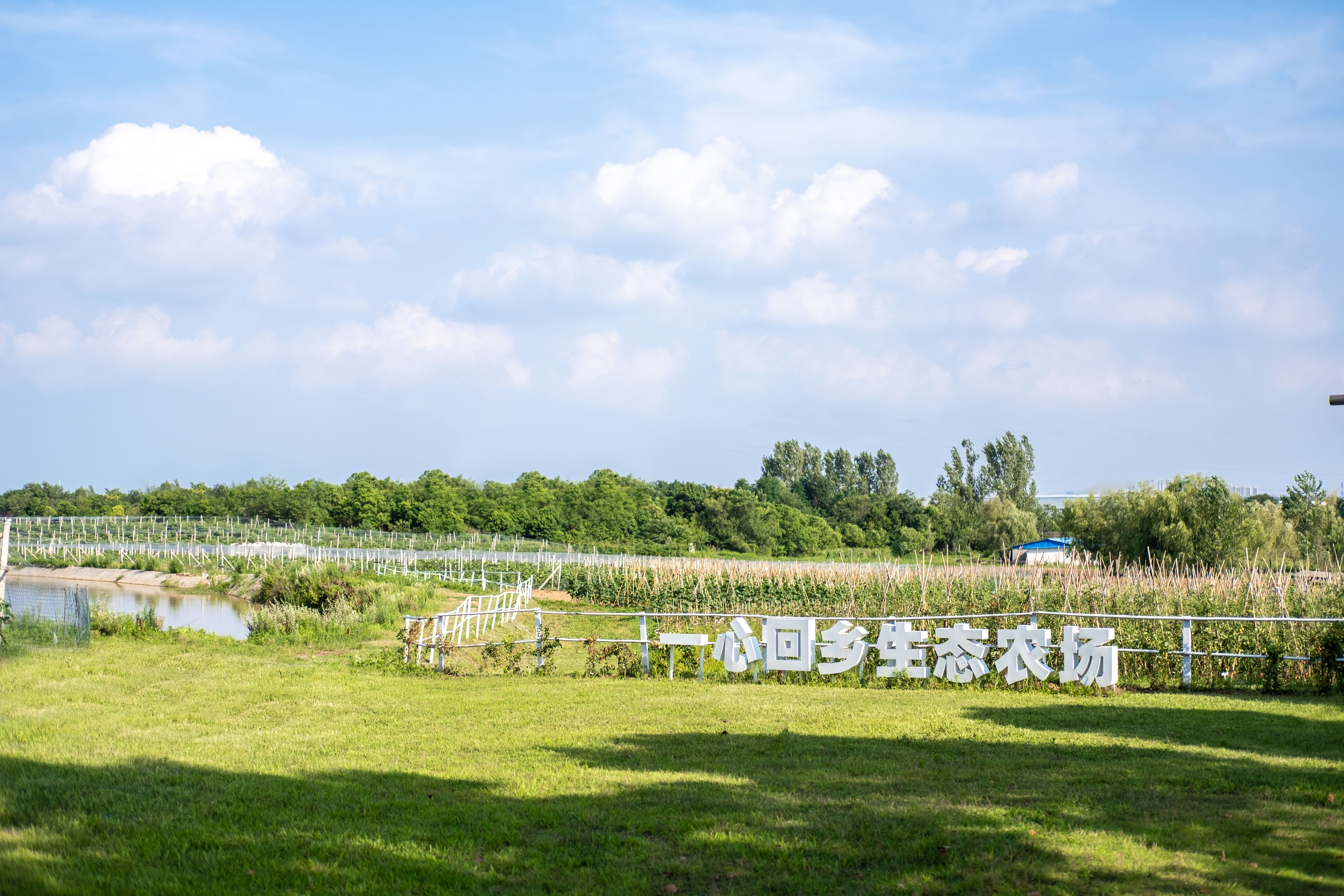 生态保由 农场生态农庄生态小农场文化战略   品牌乡村建设乡村振兴