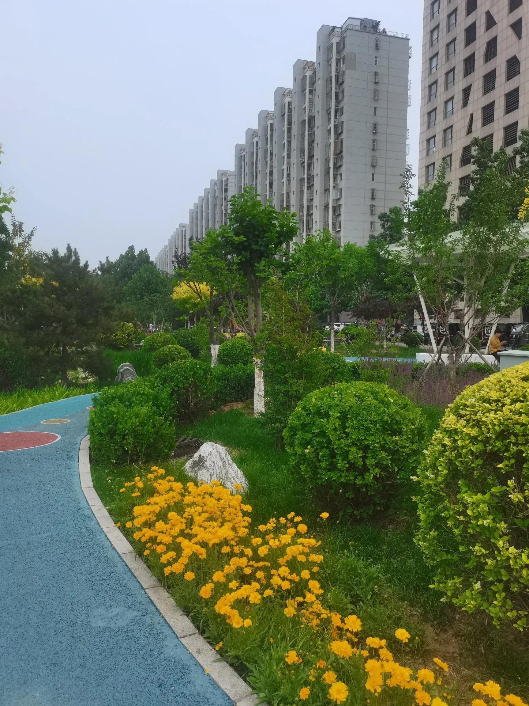 大学生就业难,并不难在没有工作可找,关键是难在