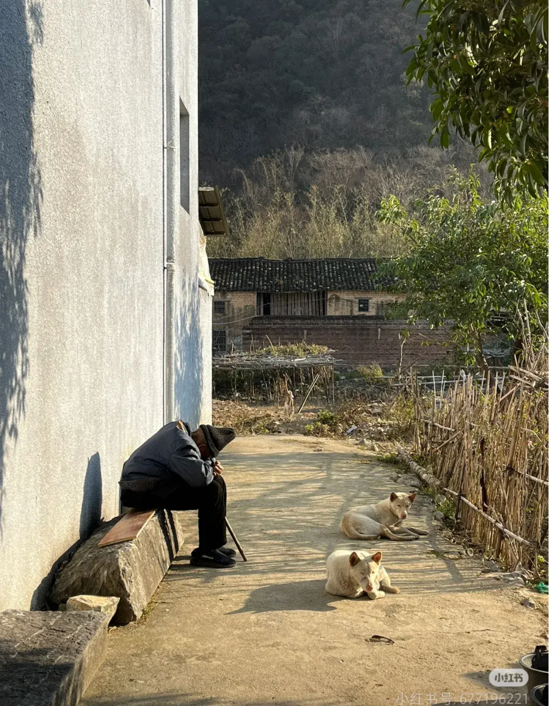 孤独的老屋和老人在农村每天好无聊一个老人面对群山的背影关中农村大