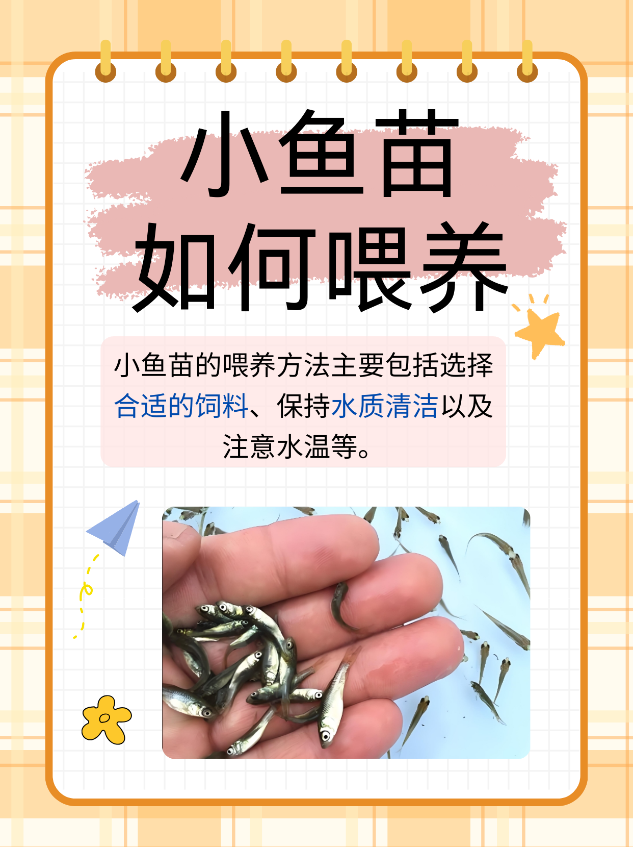 小鱼的成长过程图片