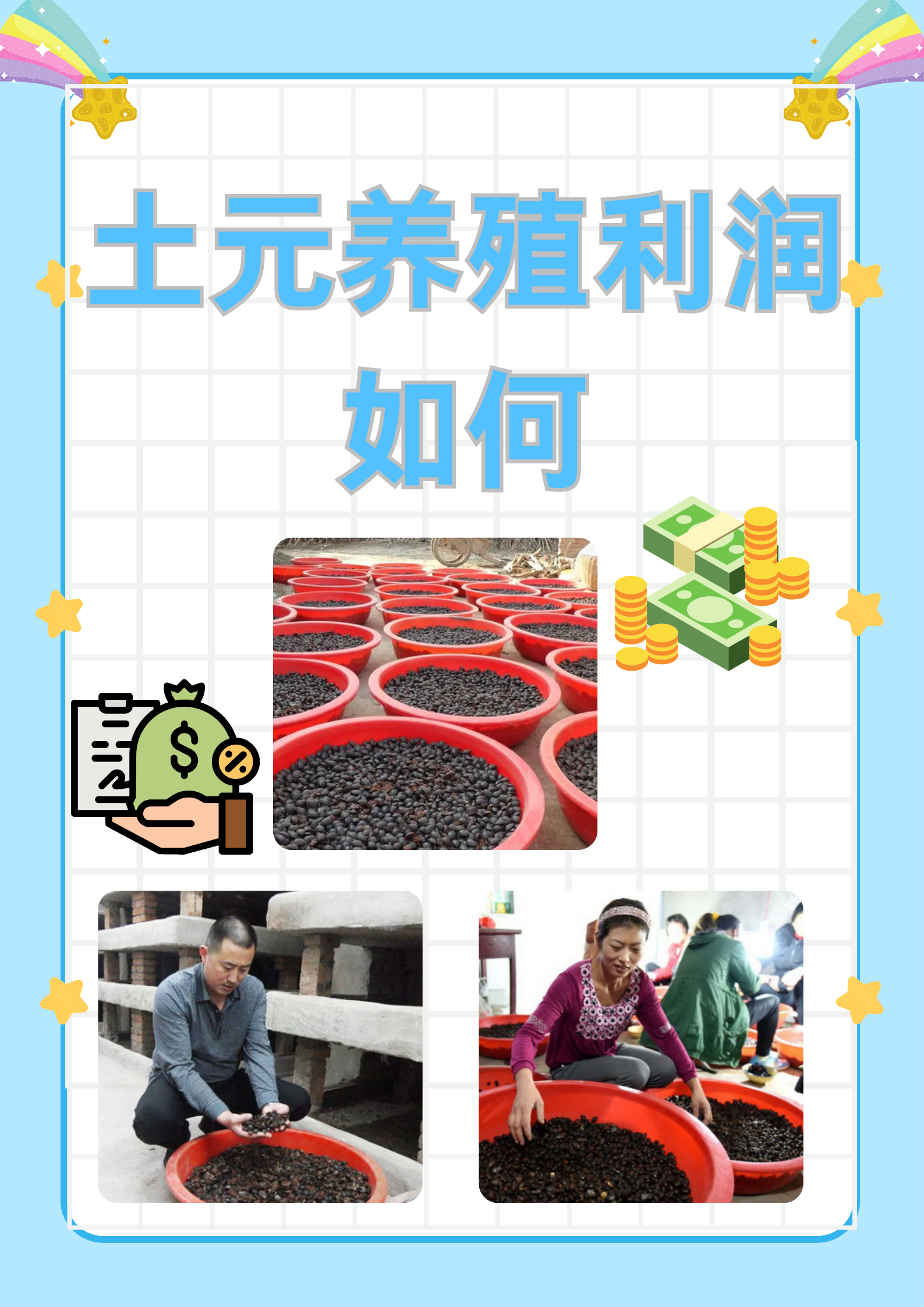 养殖土元需要办理什么手续(2021年养殖土元的前景和效益)