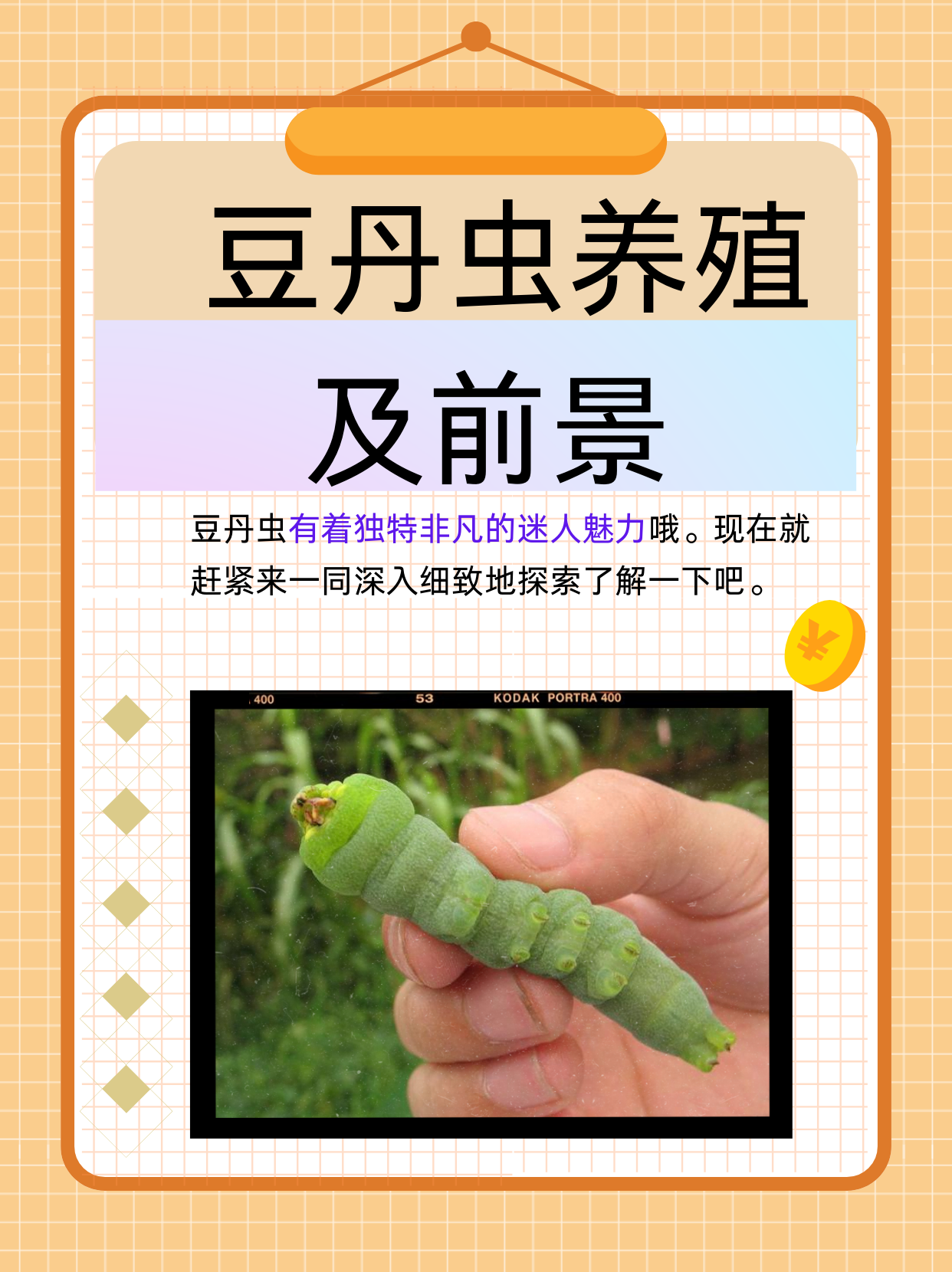 豆丹虫不仅有着特别的模样,更是蕴含着巨大的潜力呢