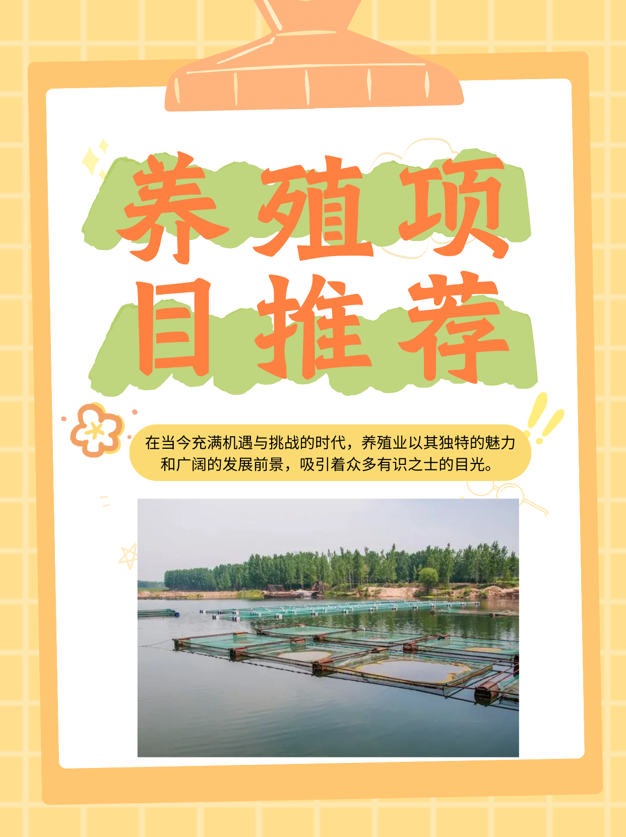 最热门养殖业(2020年热门养殖行业)