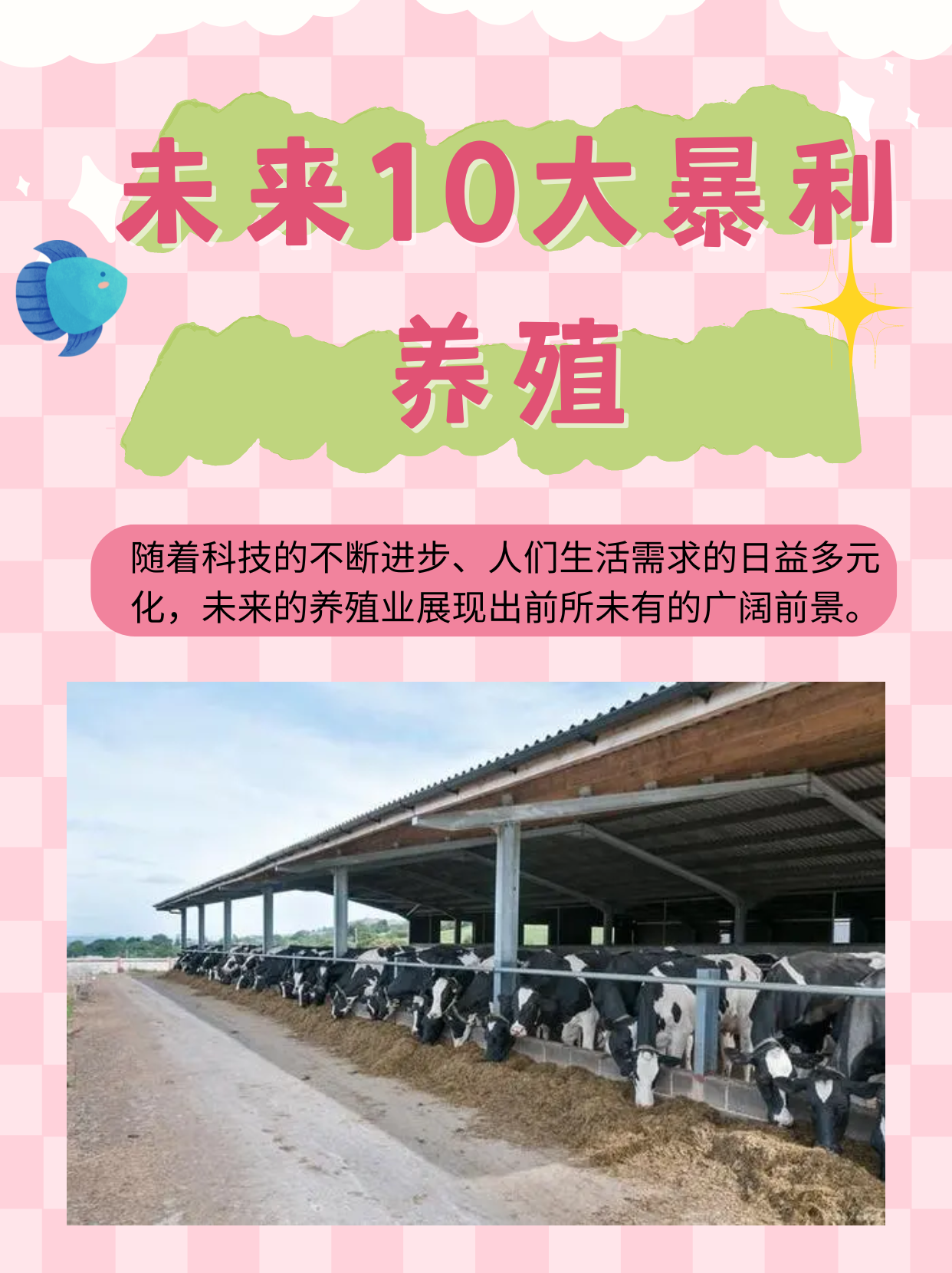 肉牛未来发展趋势(肉牛未来发展趋势图)