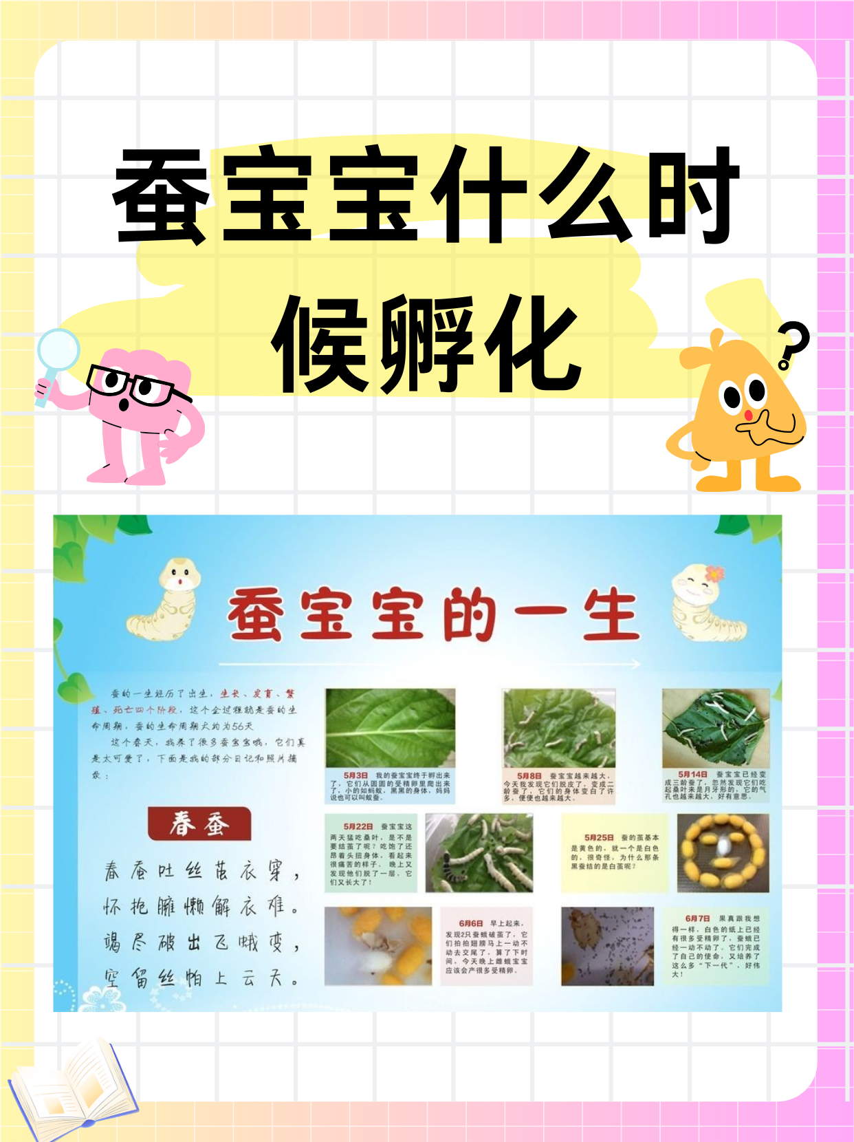 蚕卵孵化过程图片