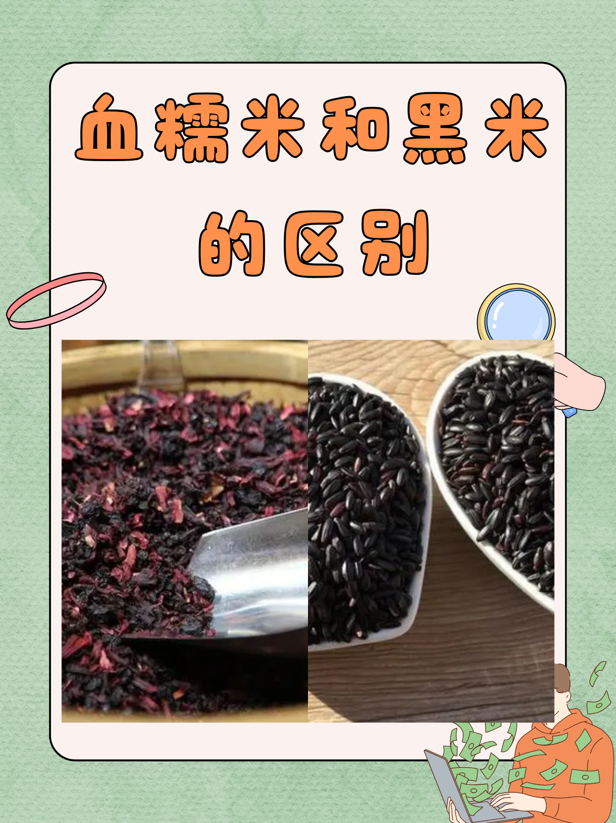 今天我们来探讨一下血糯米和黑米的区别