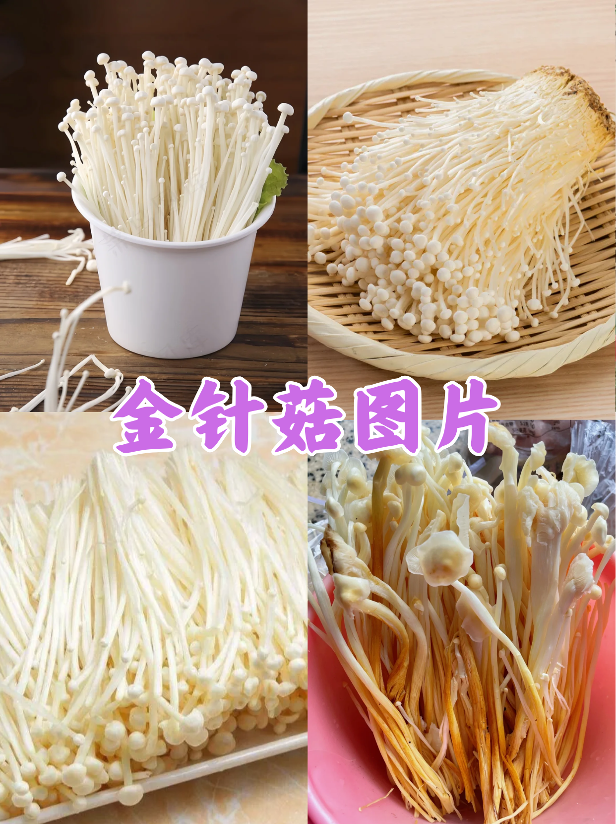 金针菇,又称为"金针蘑",是一种口感鲜嫩的食用菌,深受