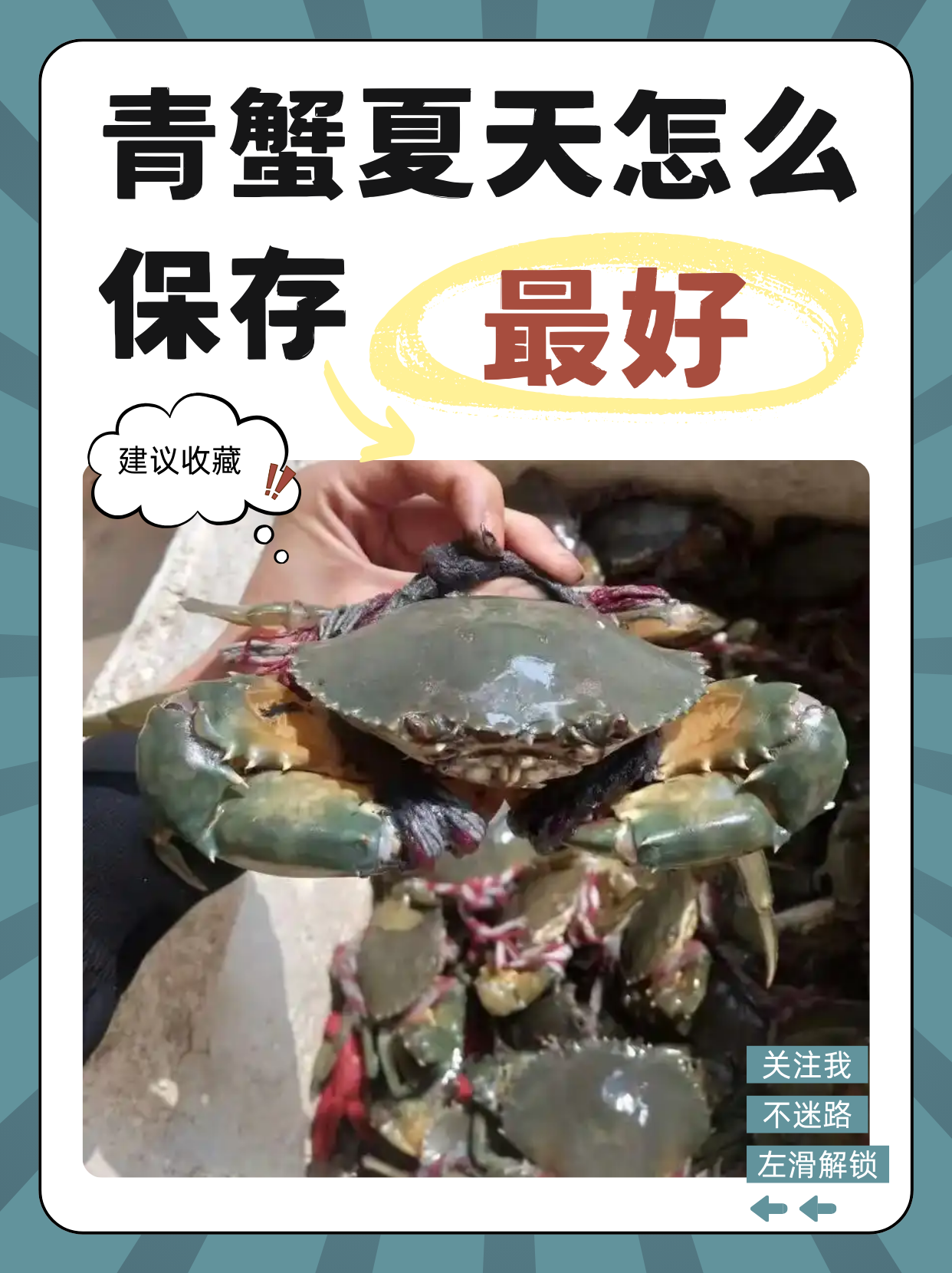 青蟹最好吃的做法和配料是什么(青蟹最好吃的做法和配料是什么呢)
