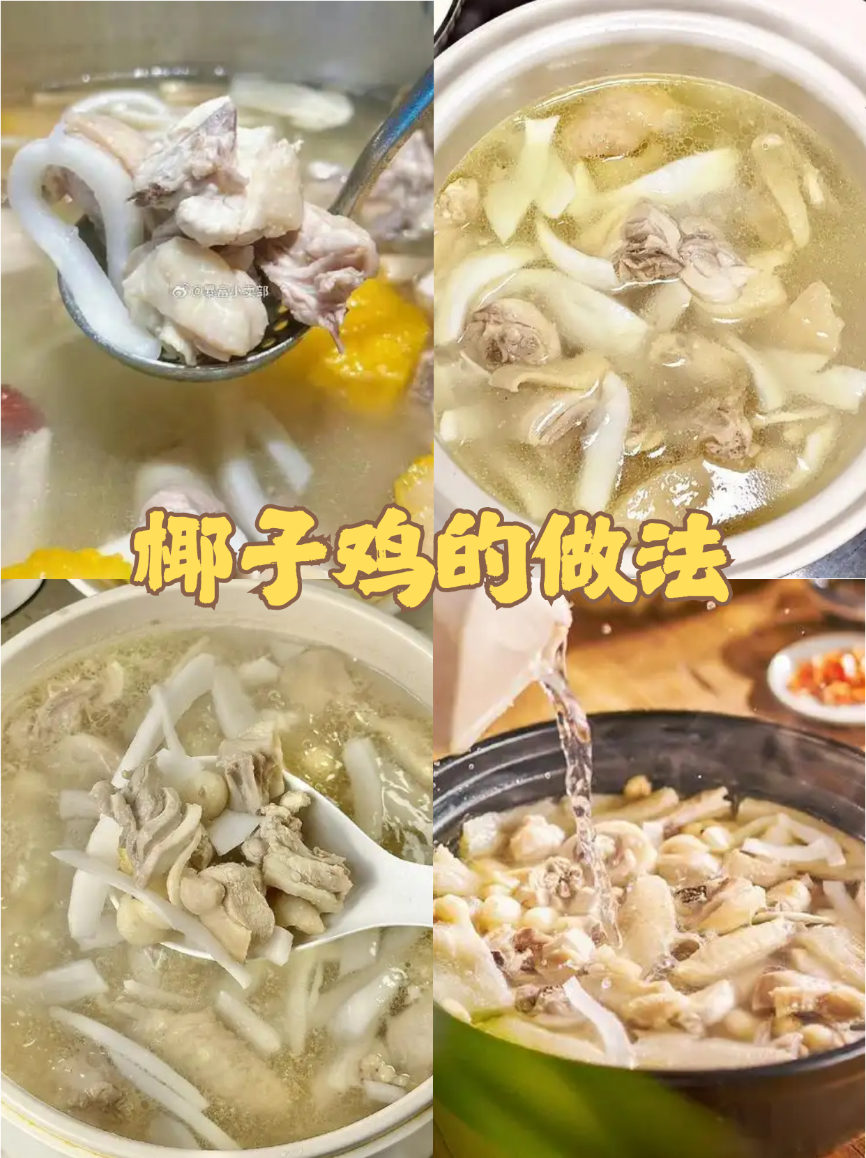 关于椰子鸡的历史背景图片