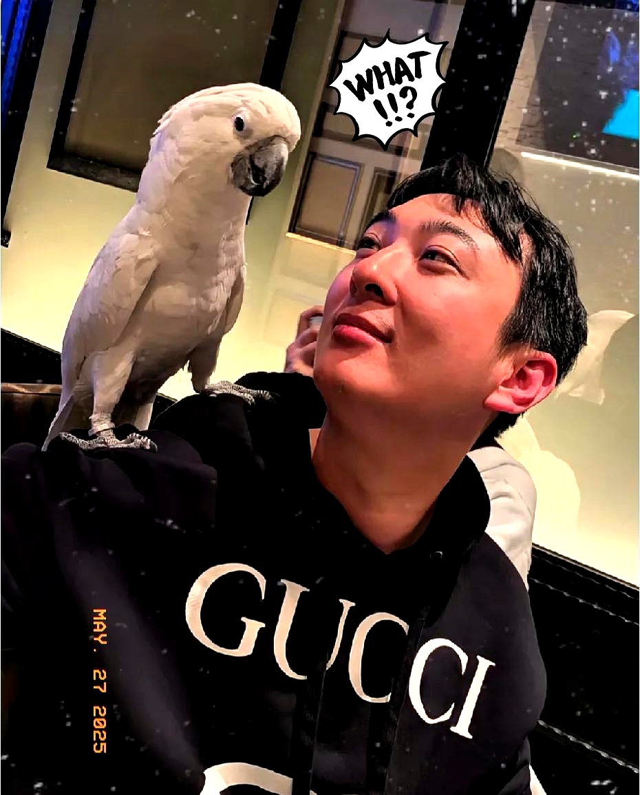 王思聪啊王思聪! 快清醒清醒吧!