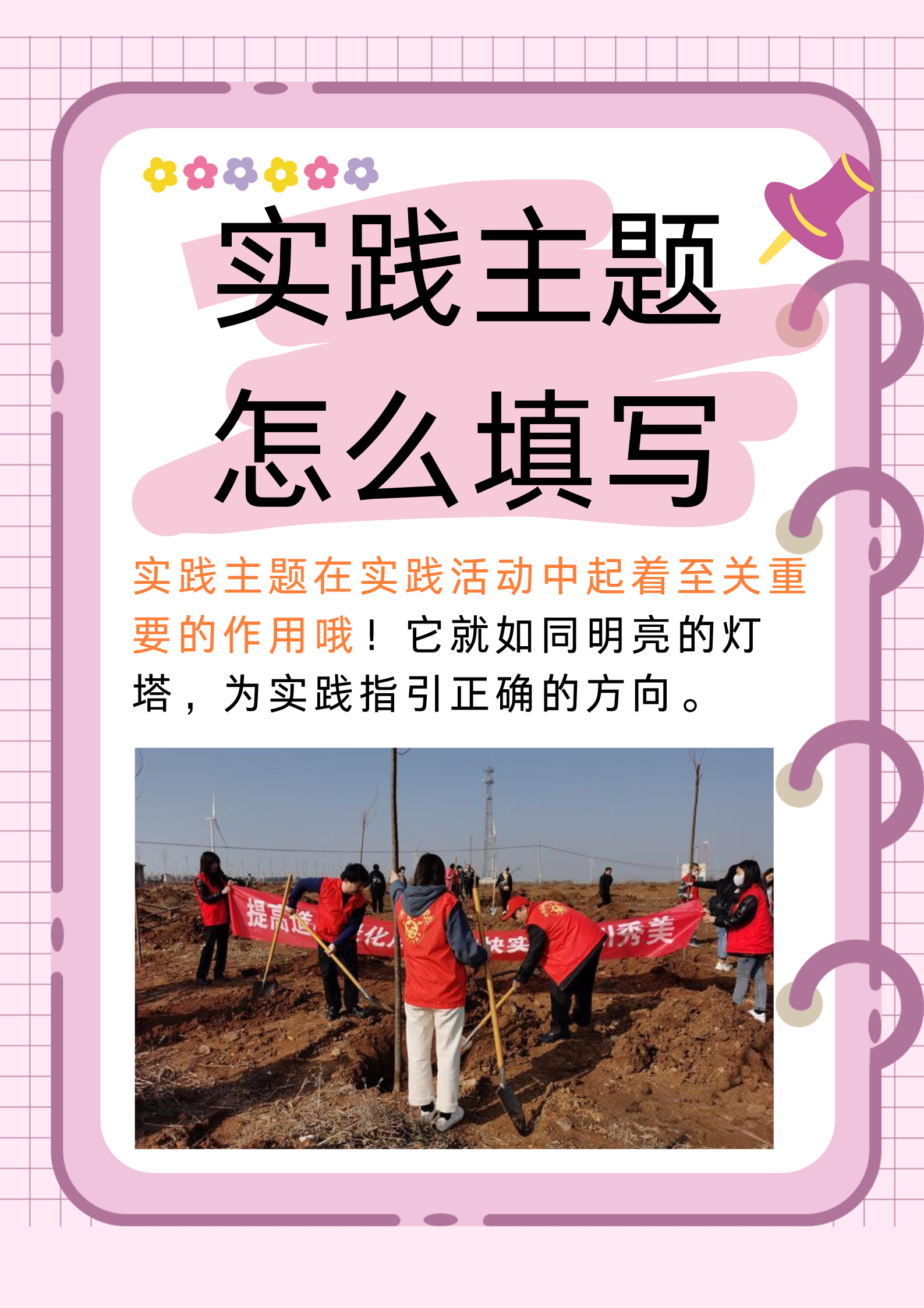 在实践活动中成长
