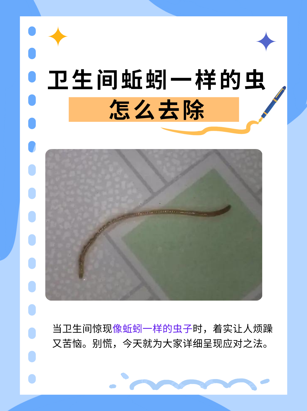 卫生间蚯蚓一样的虫怎么去除
